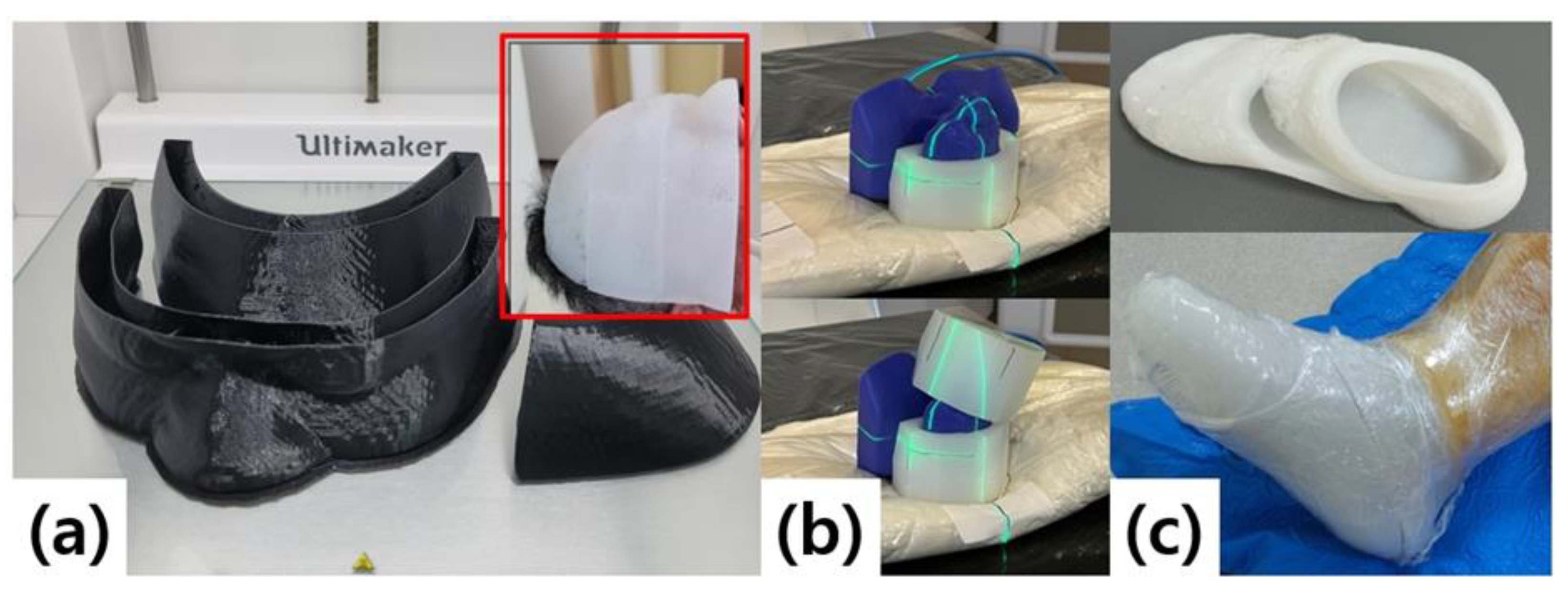 Preprints 176129 g002