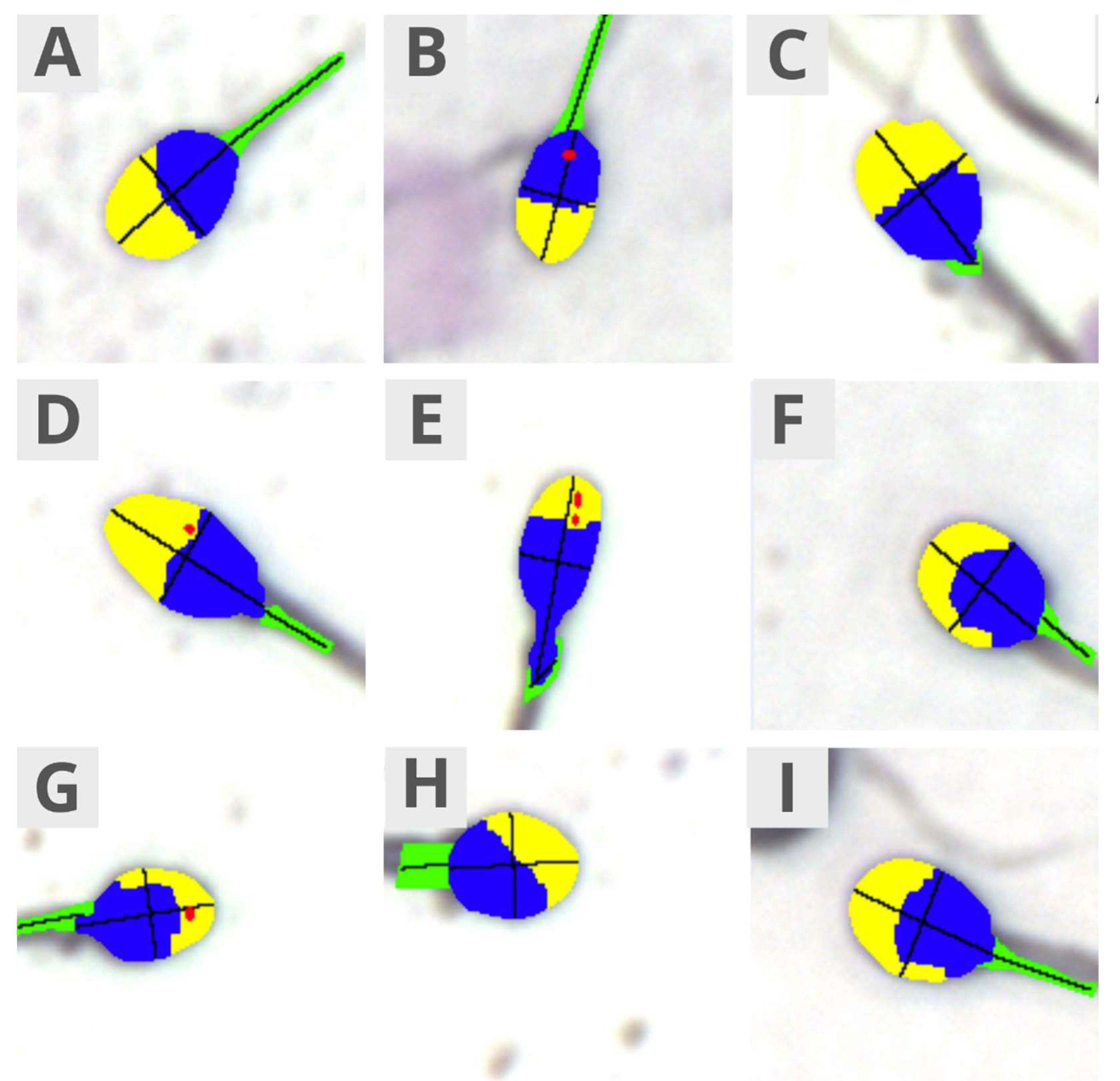 Preprints 140299 g001