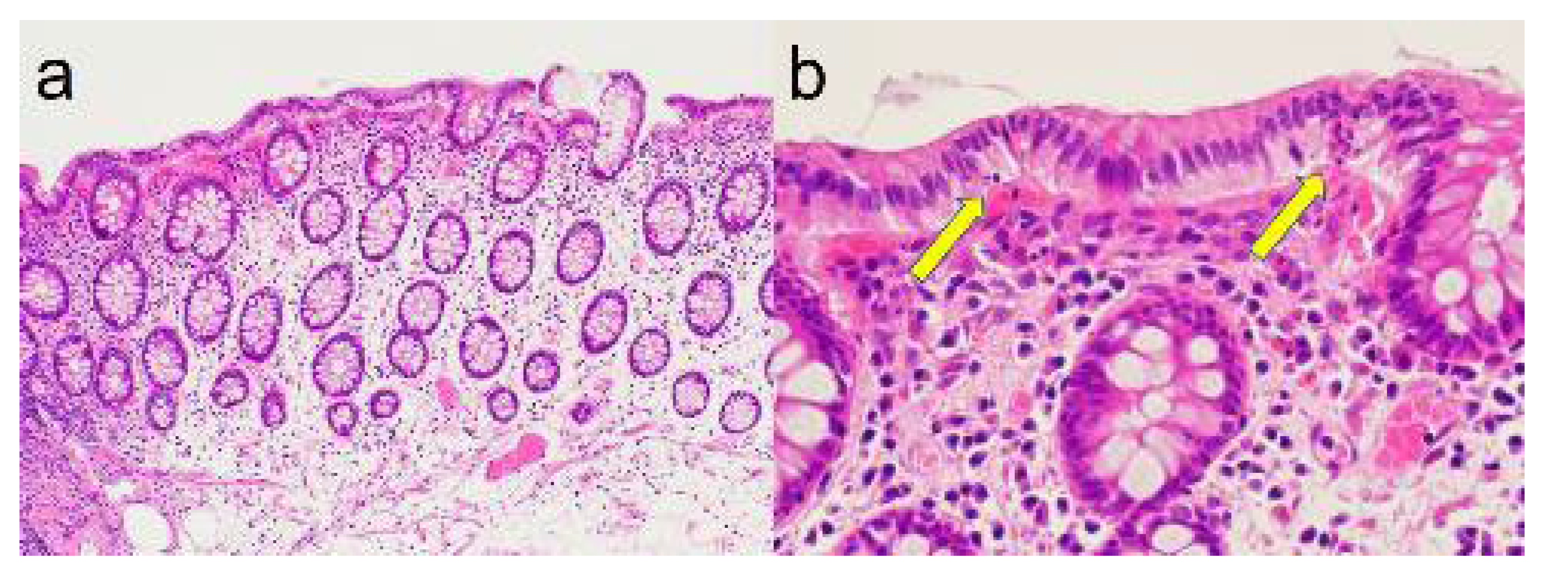 Preprints 102570 g002