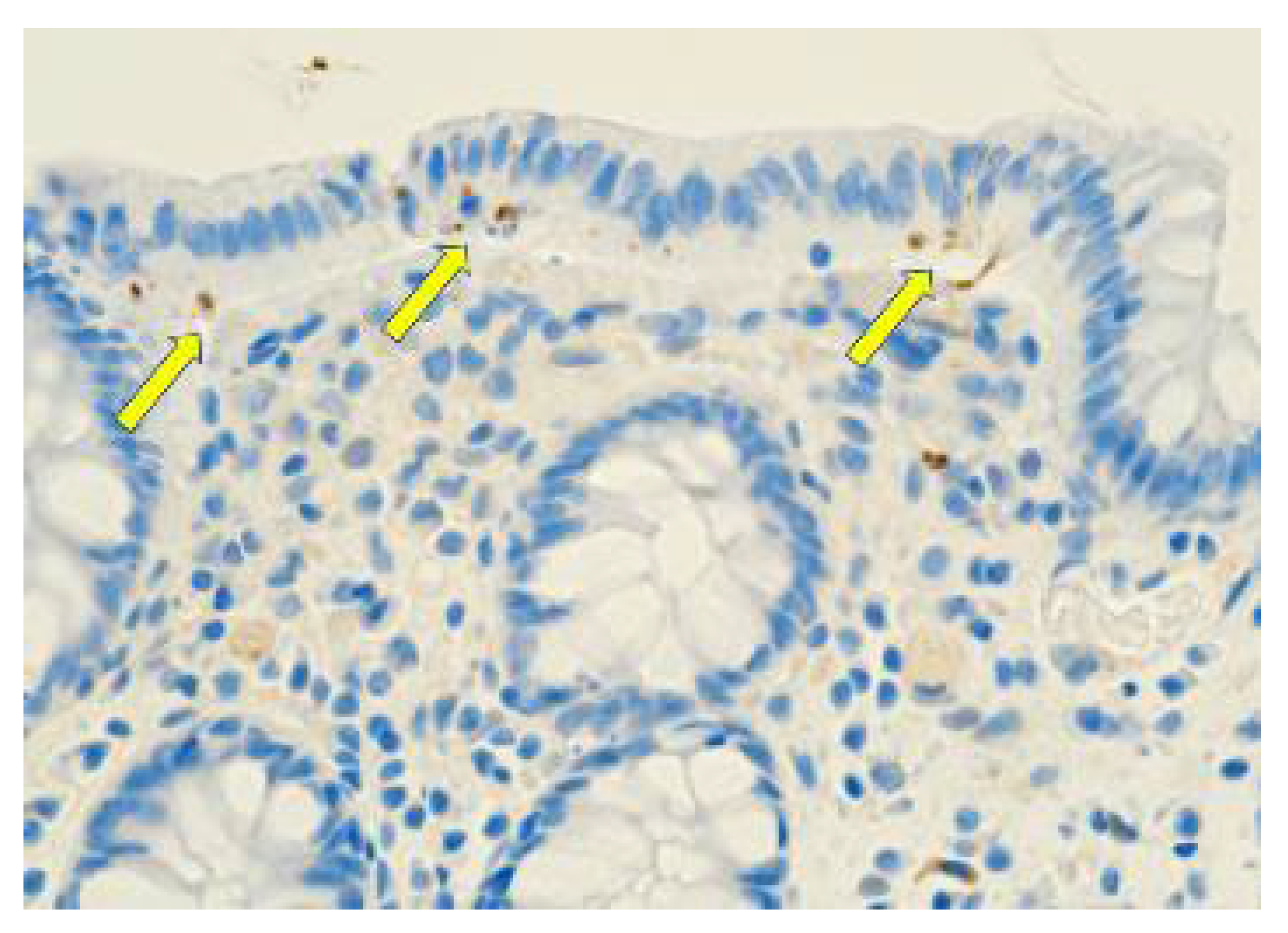 Preprints 102570 g003