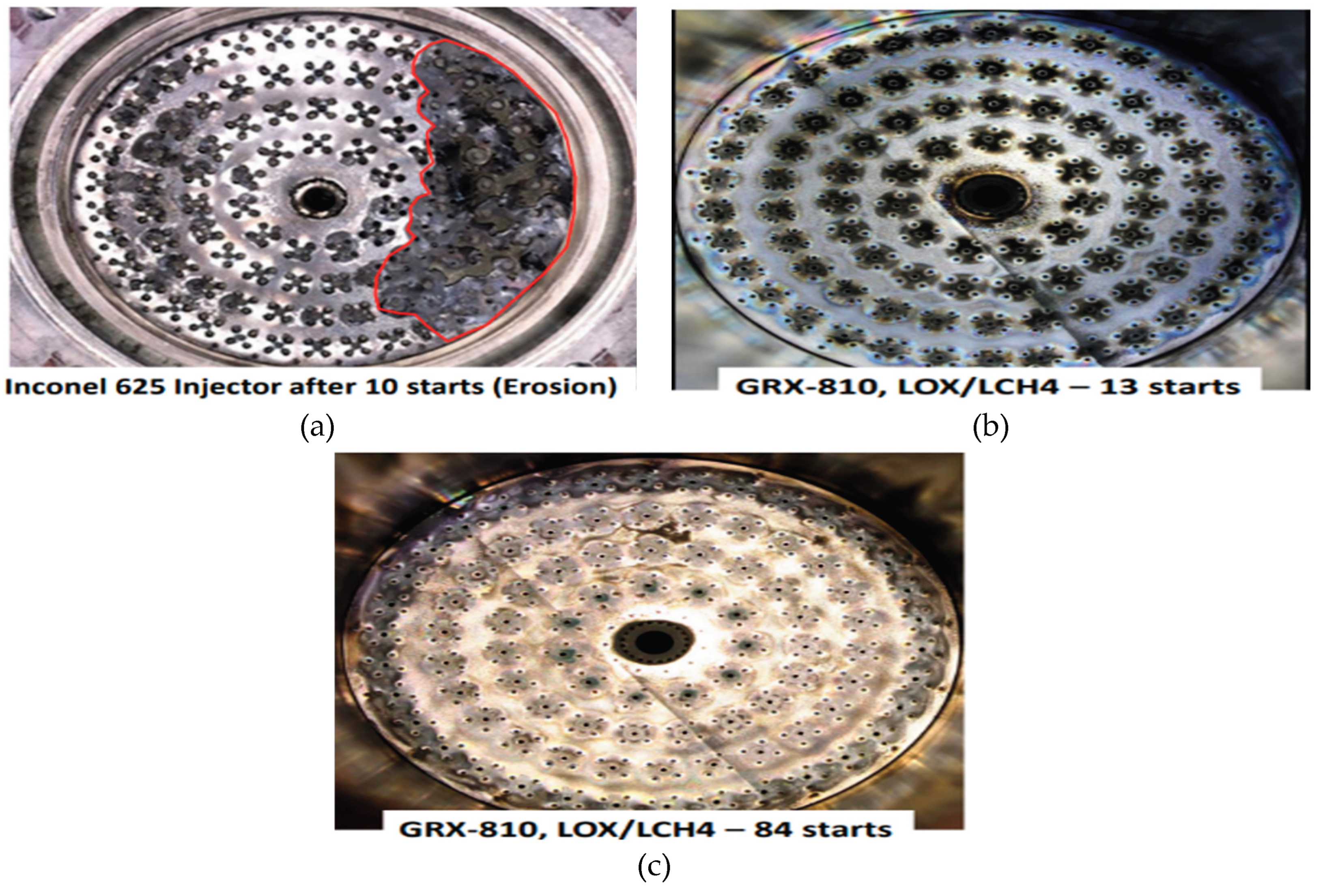 Preprints 194141 g100
