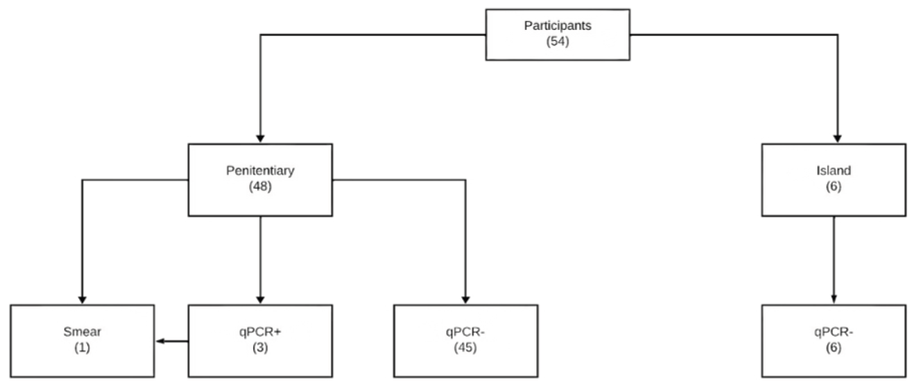 Preprints 183007 g001