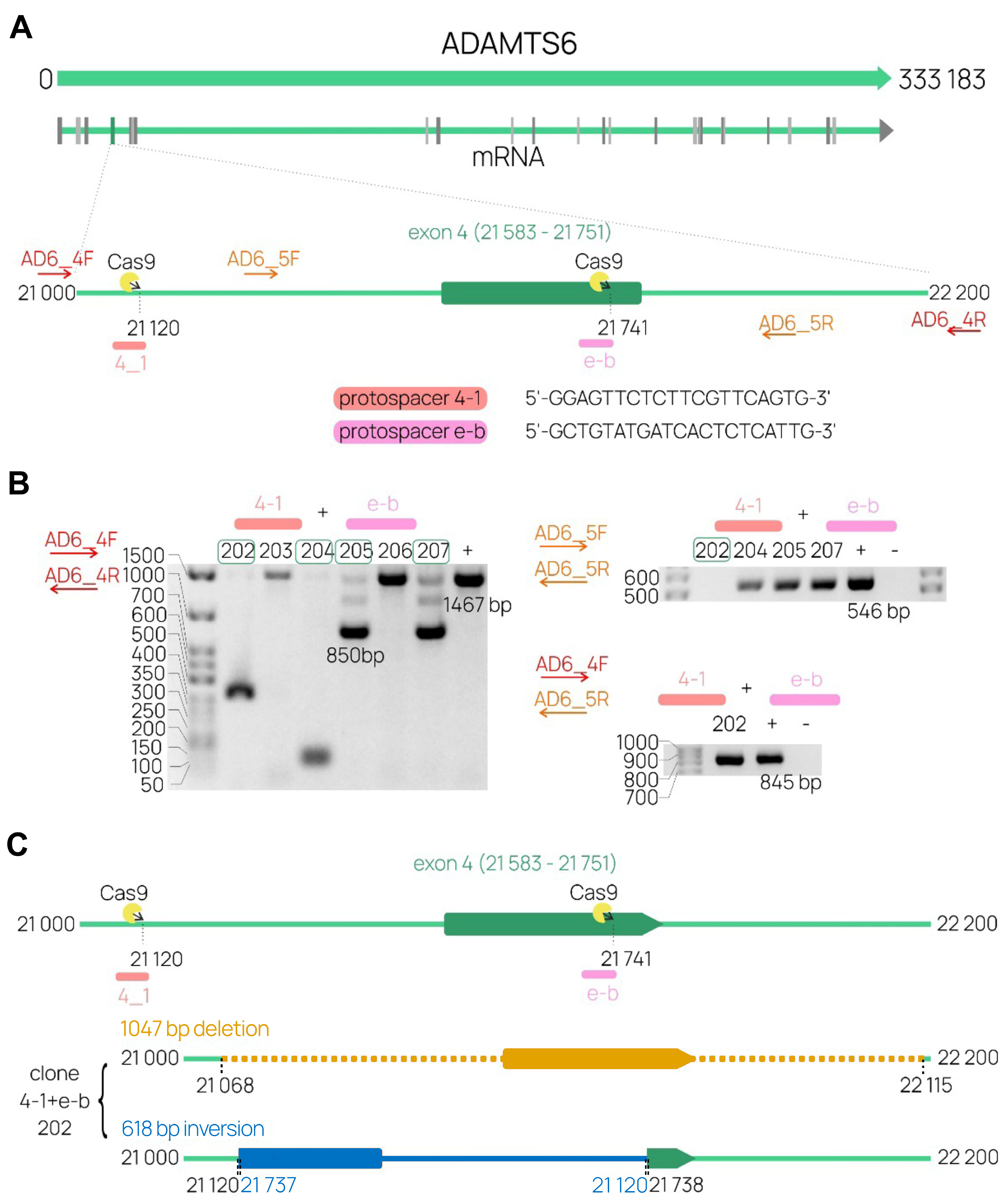 Preprints 187780 g004