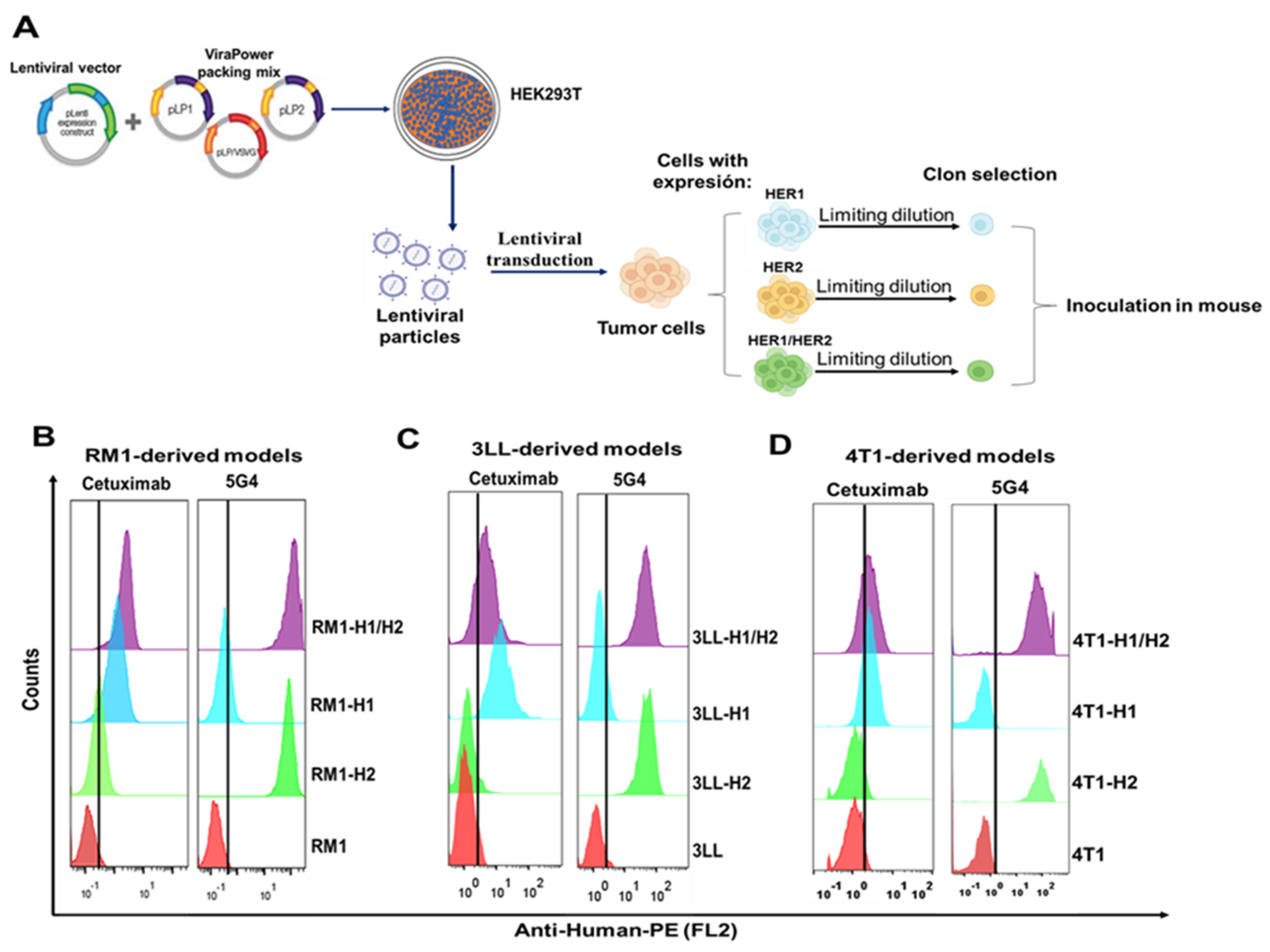 Preprints 149946 g001