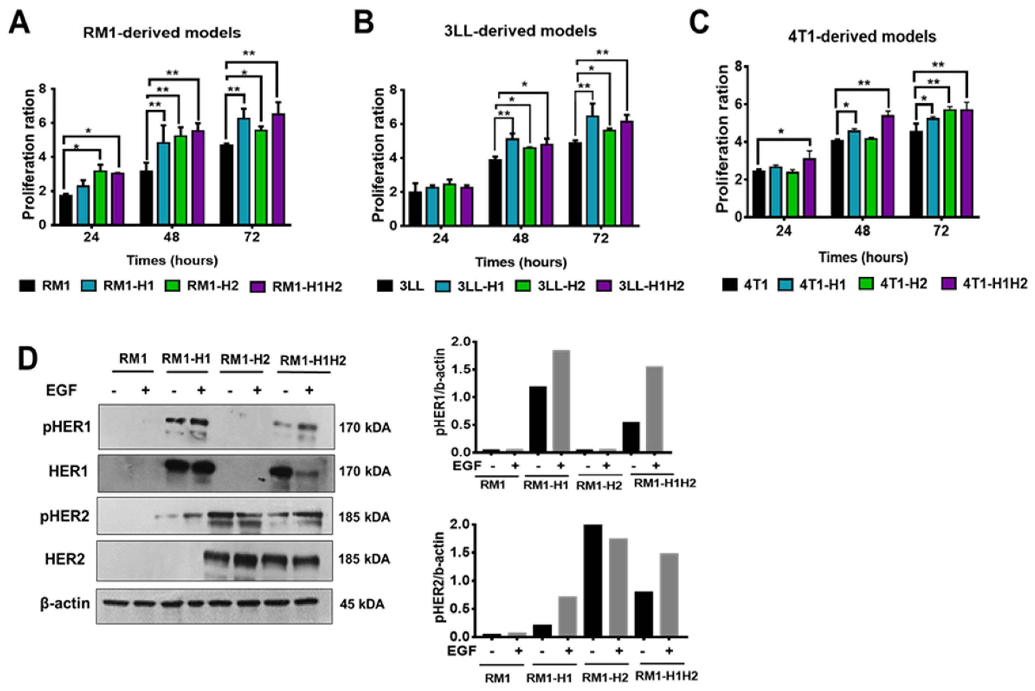 Preprints 149946 g002