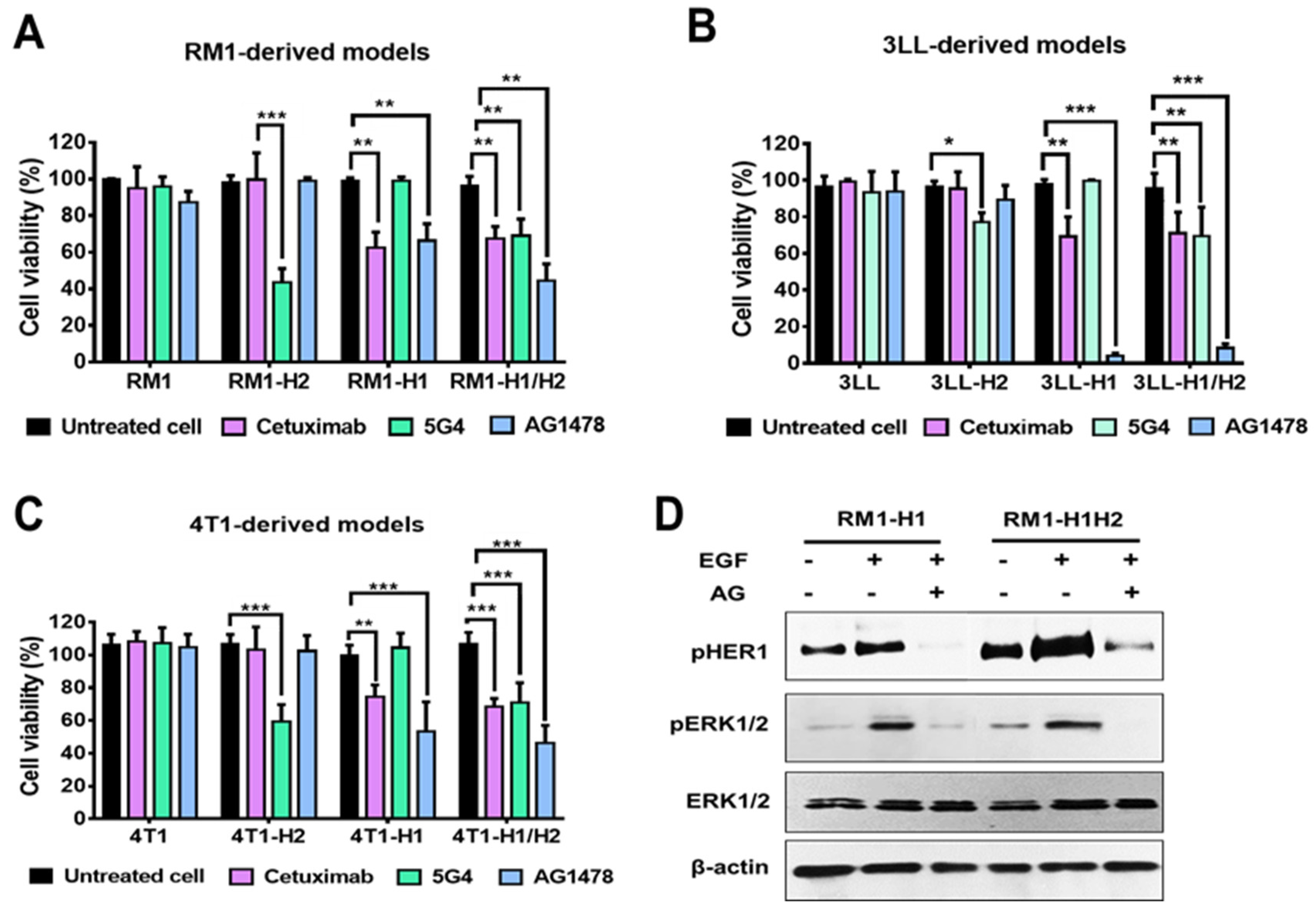 Preprints 149946 g003
