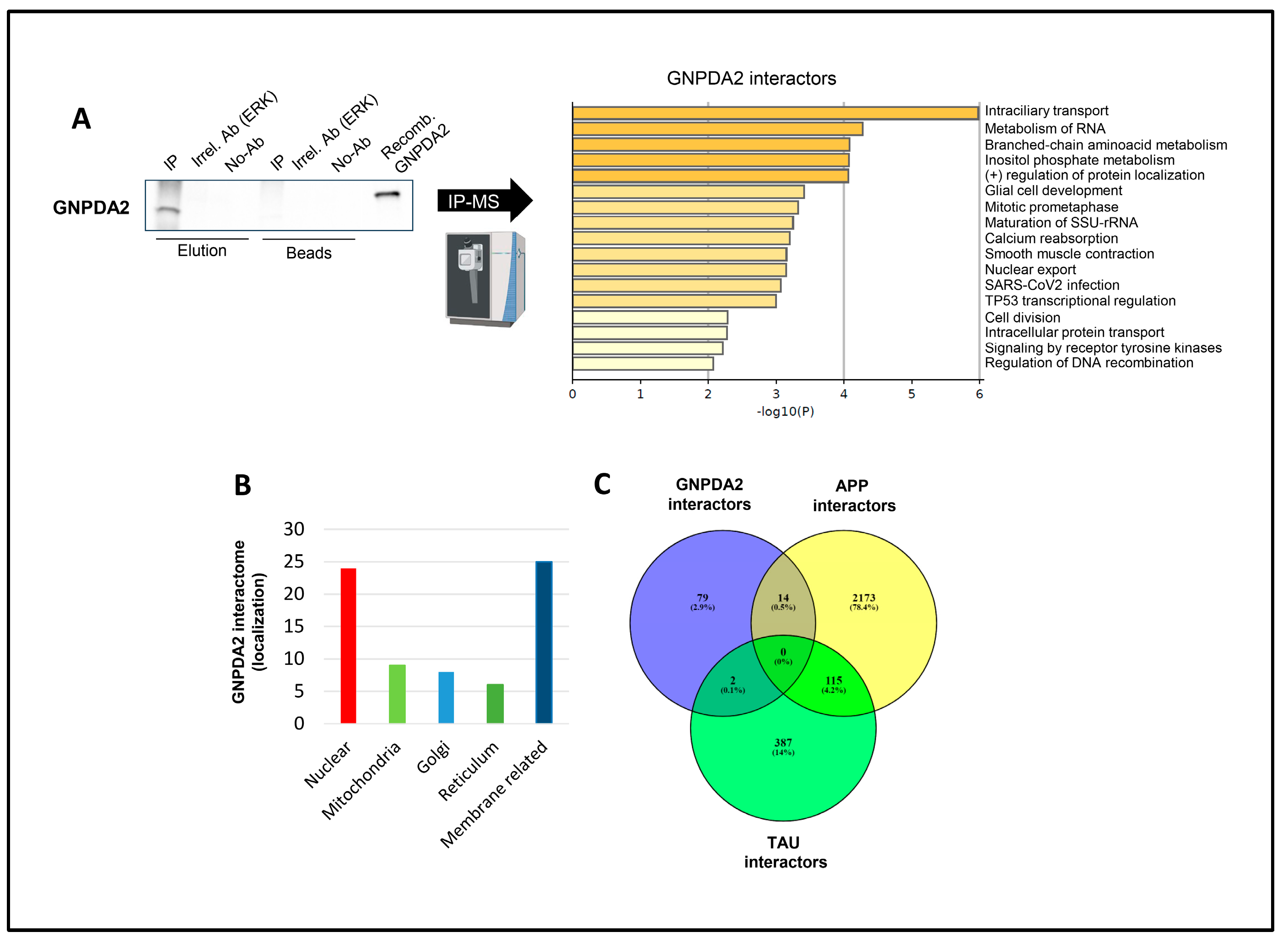 Preprints 98998 g001