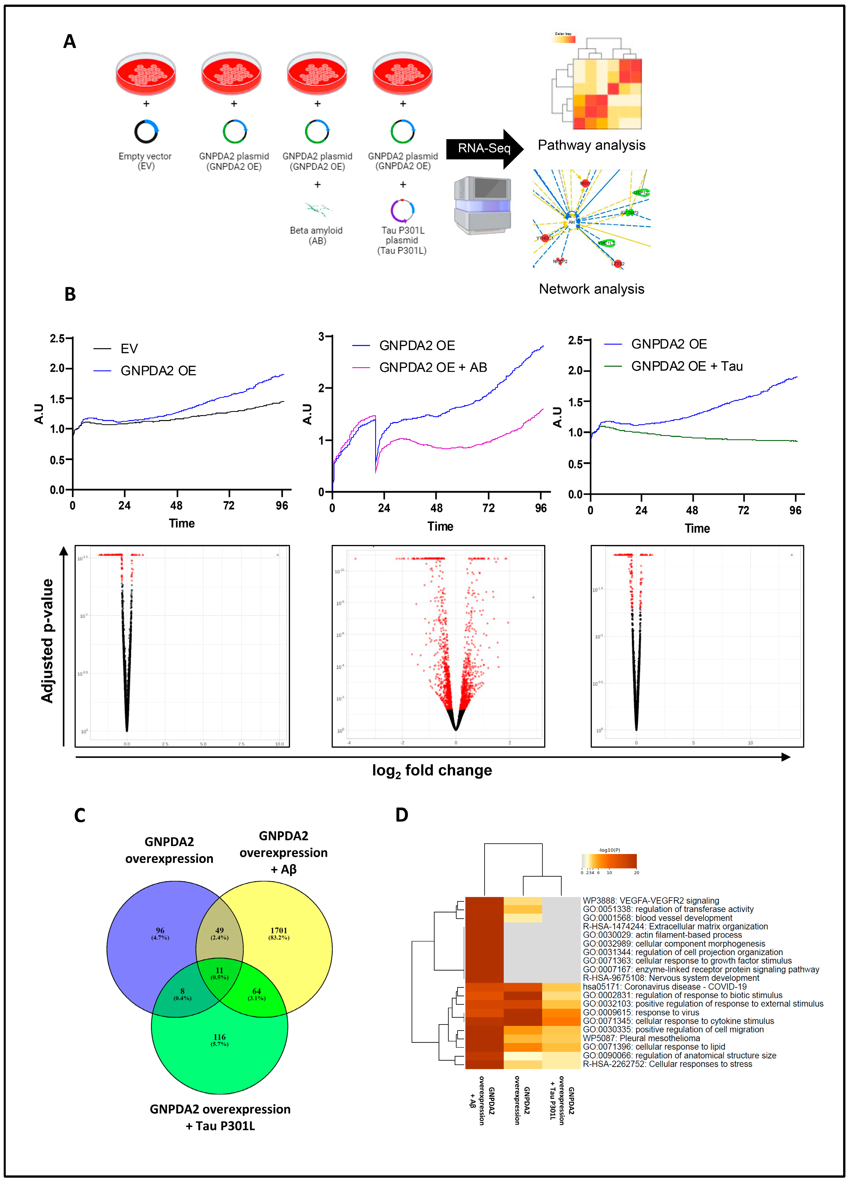 Preprints 98998 g002