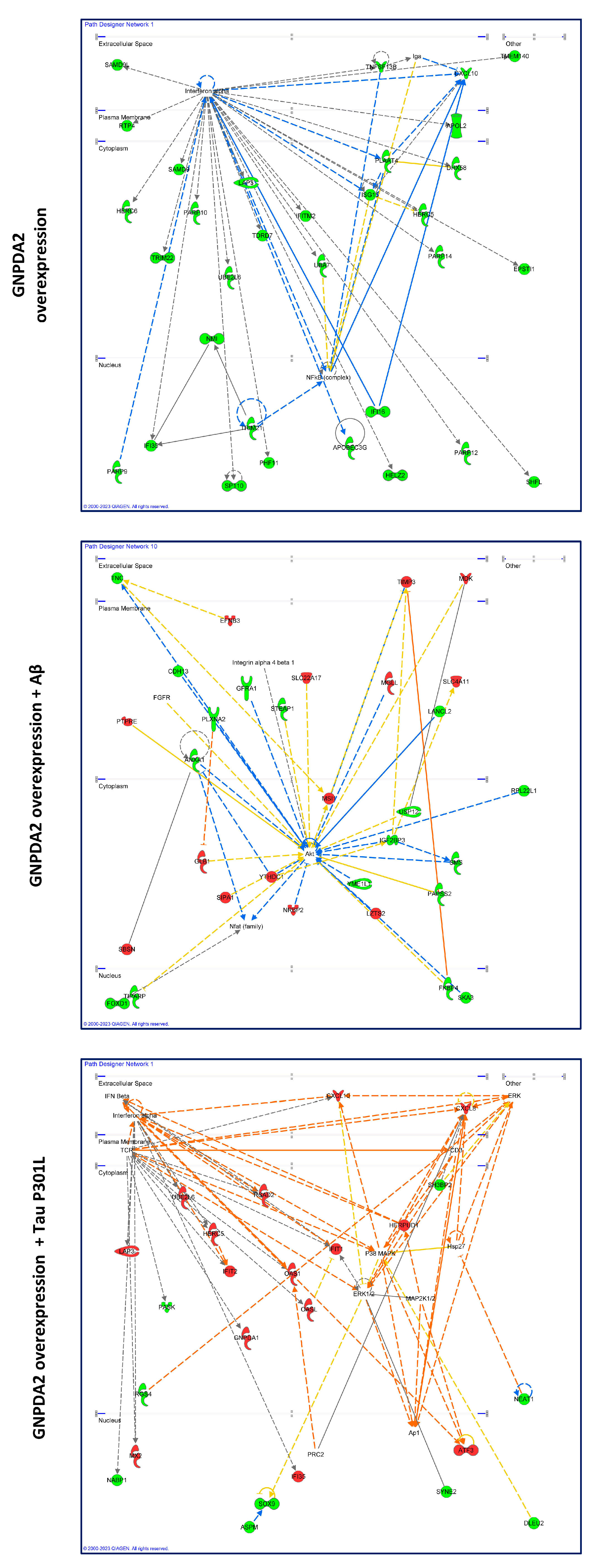 Preprints 98998 g003