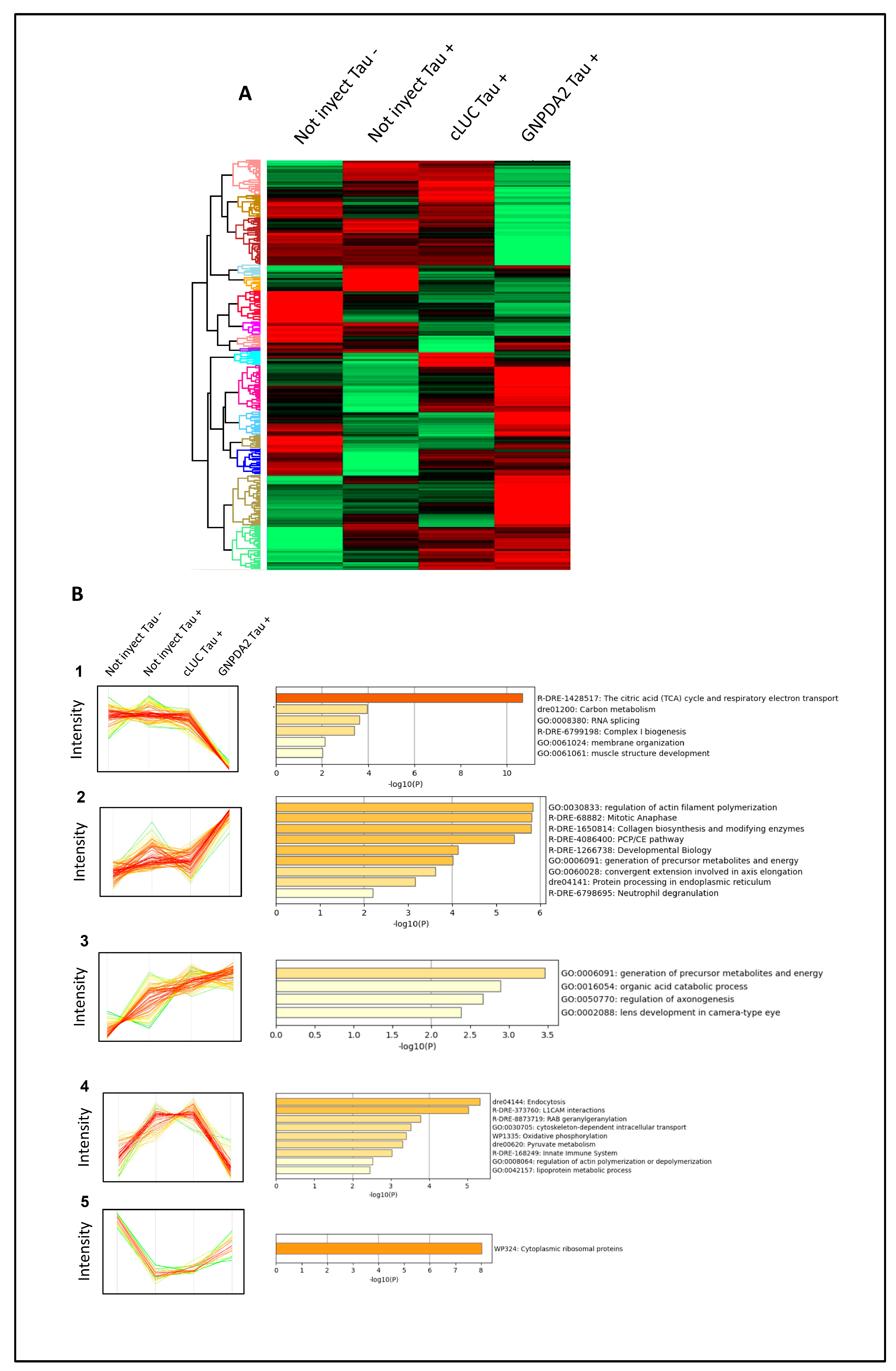 Preprints 98998 g006
