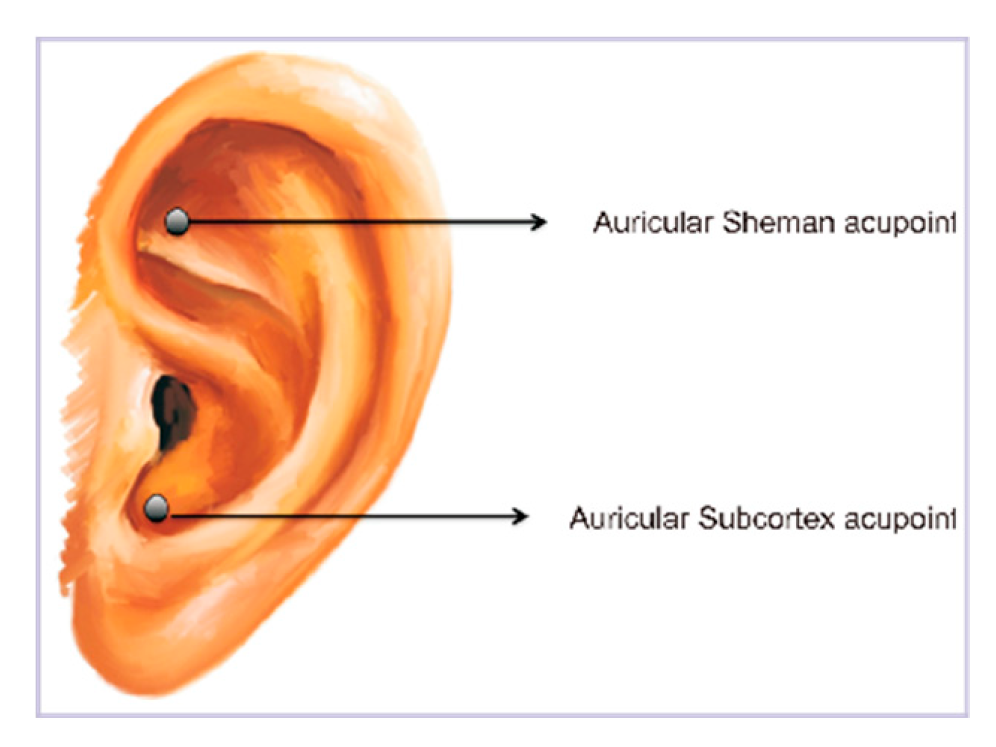 Preprints 98002 g001