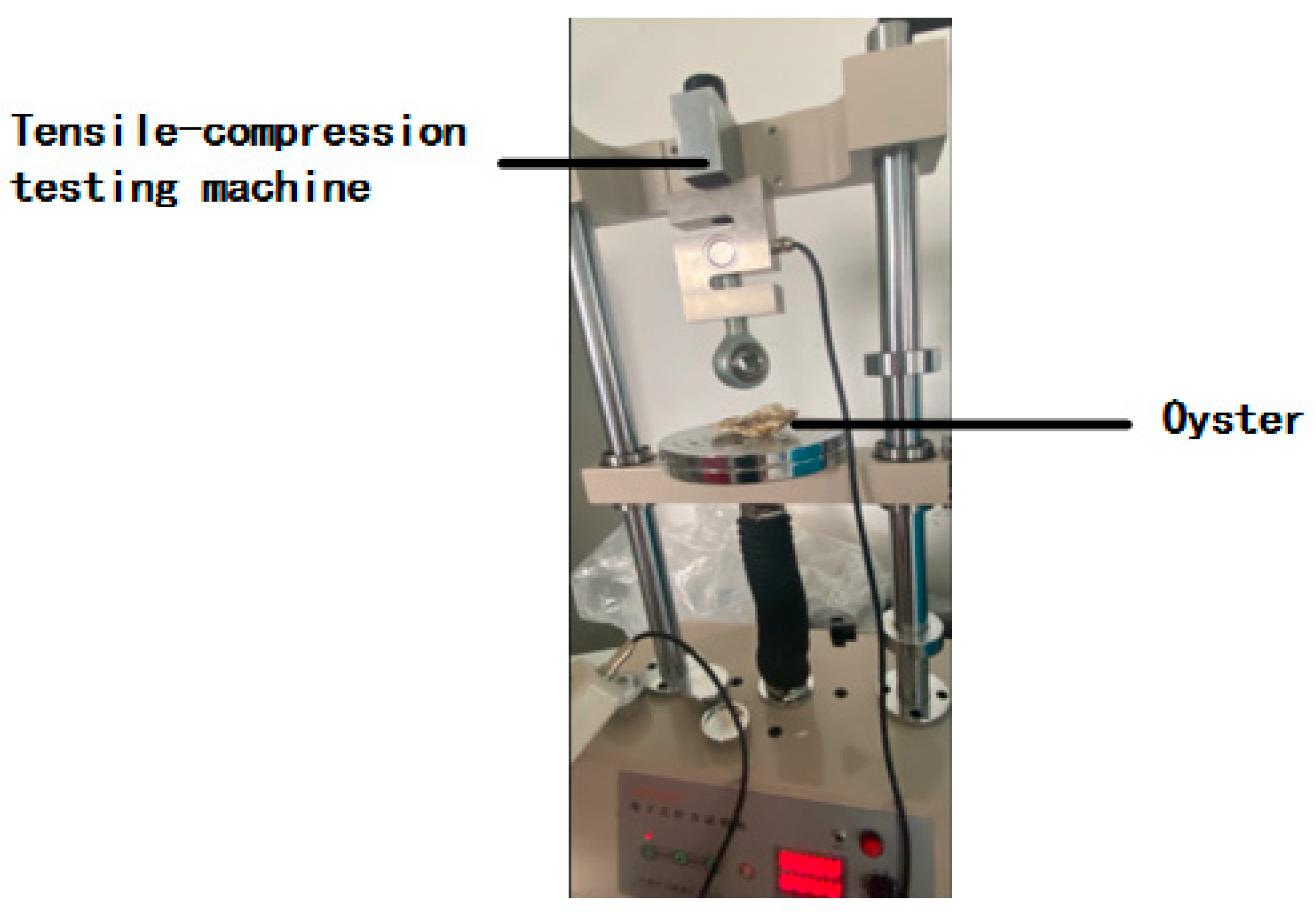 Preprints 181724 g004