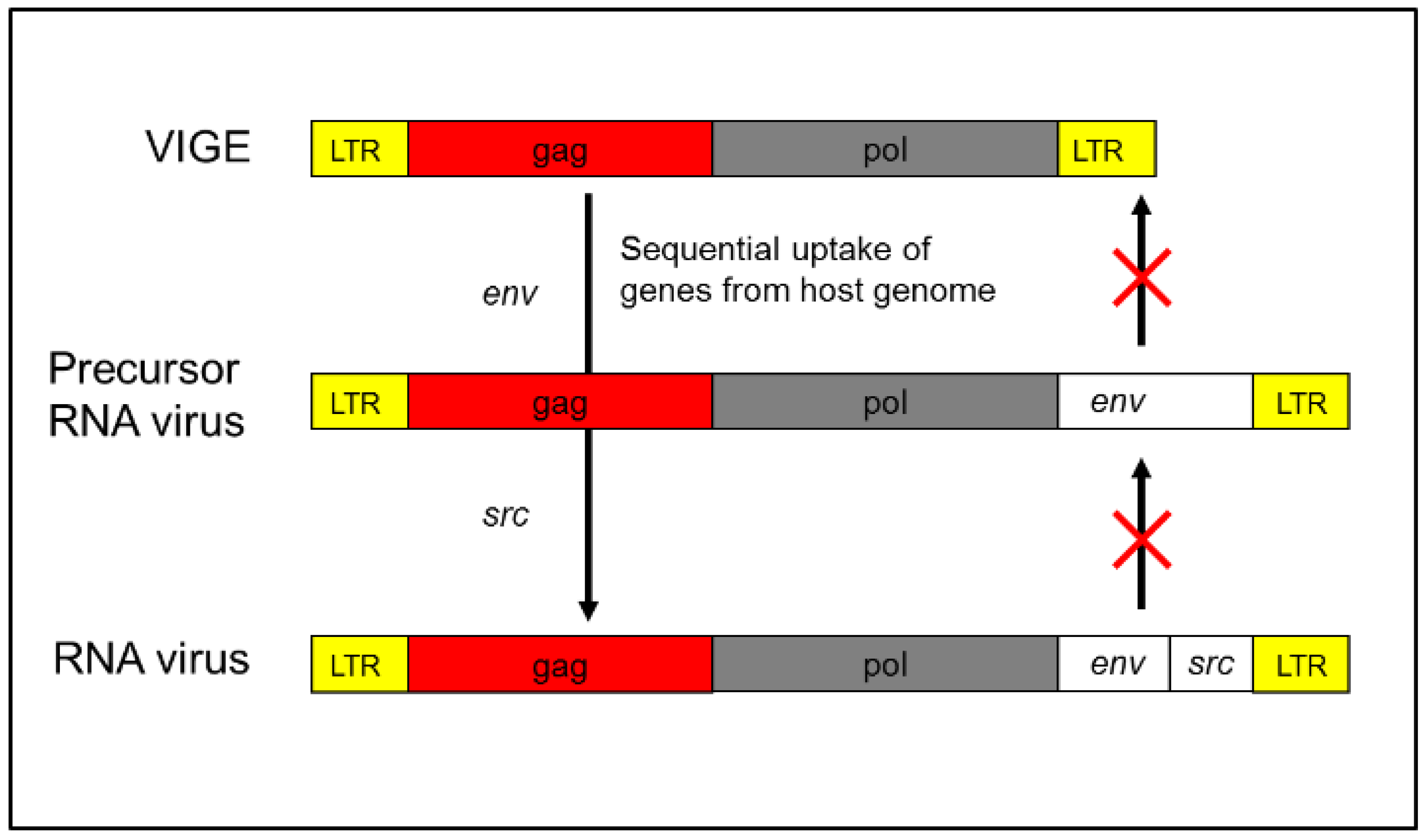 Preprints 180969 g001