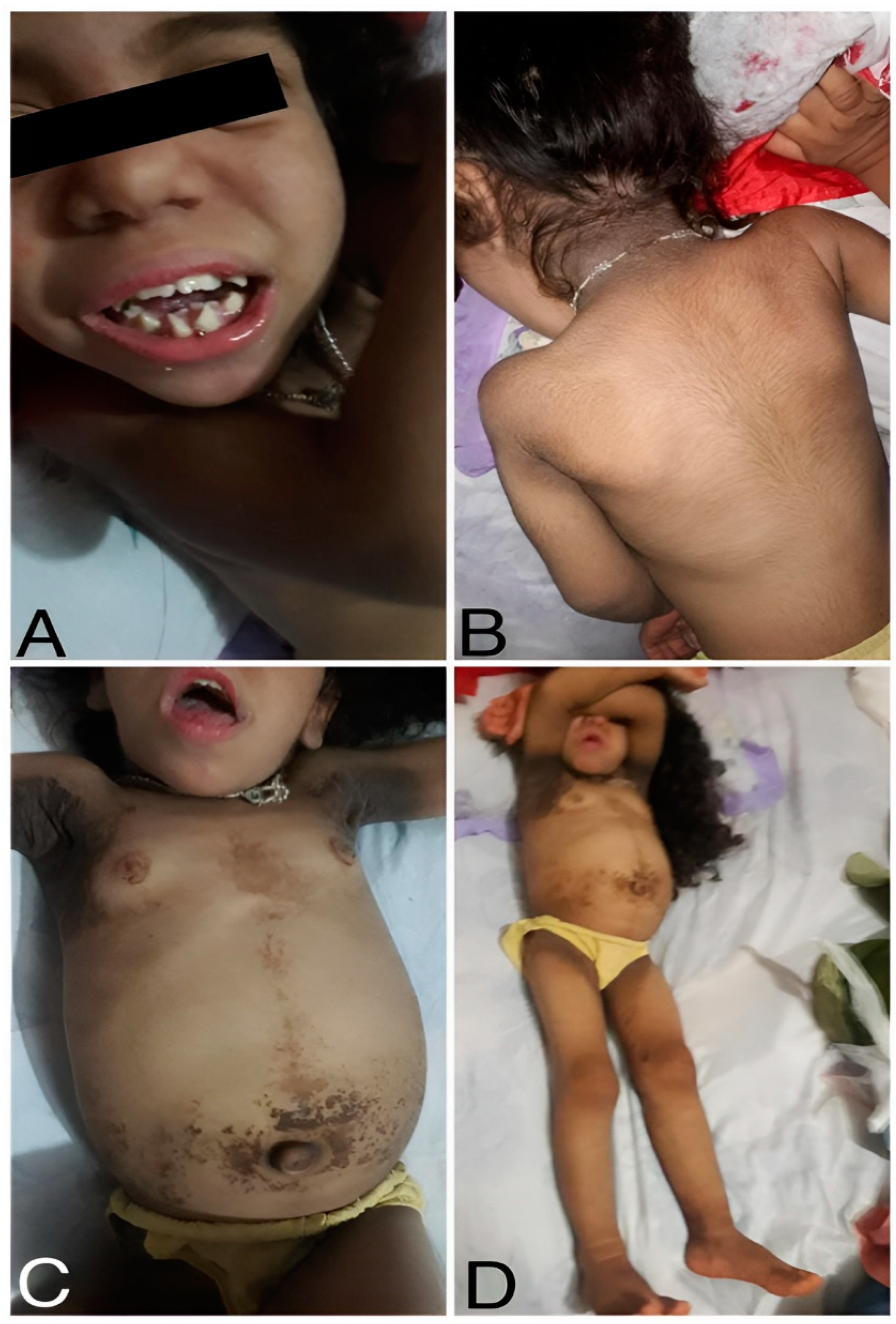 Preprints 89914 g001