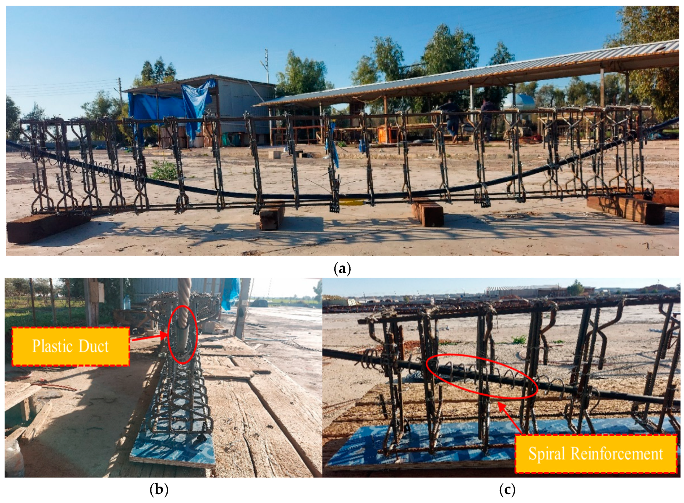 Preprints 150297 g005