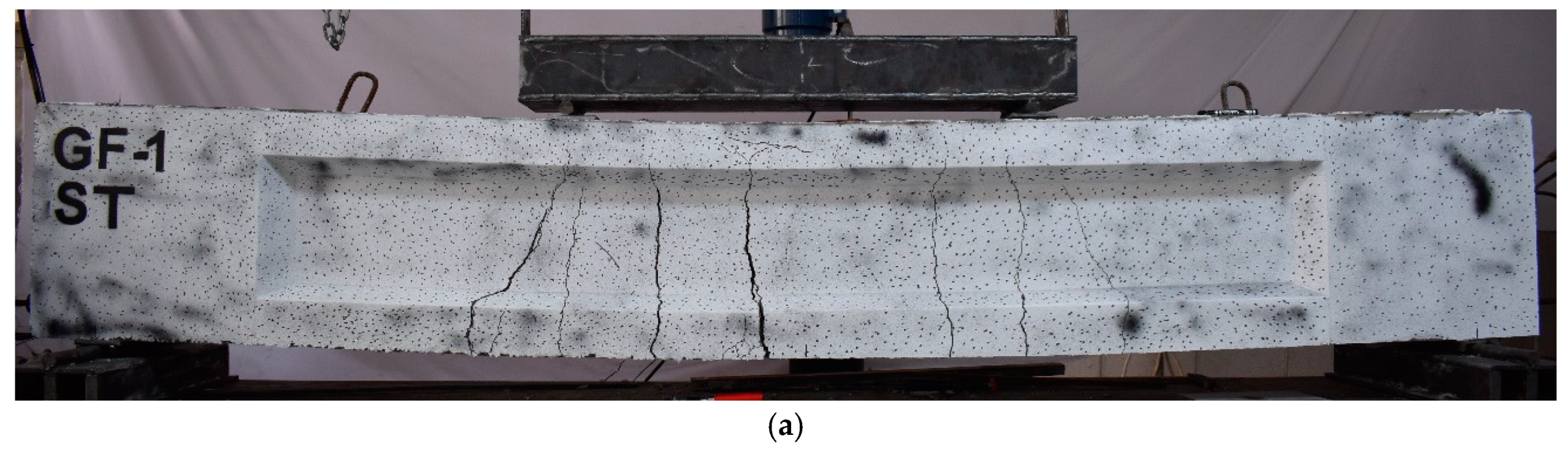 Preprints 150297 g010a