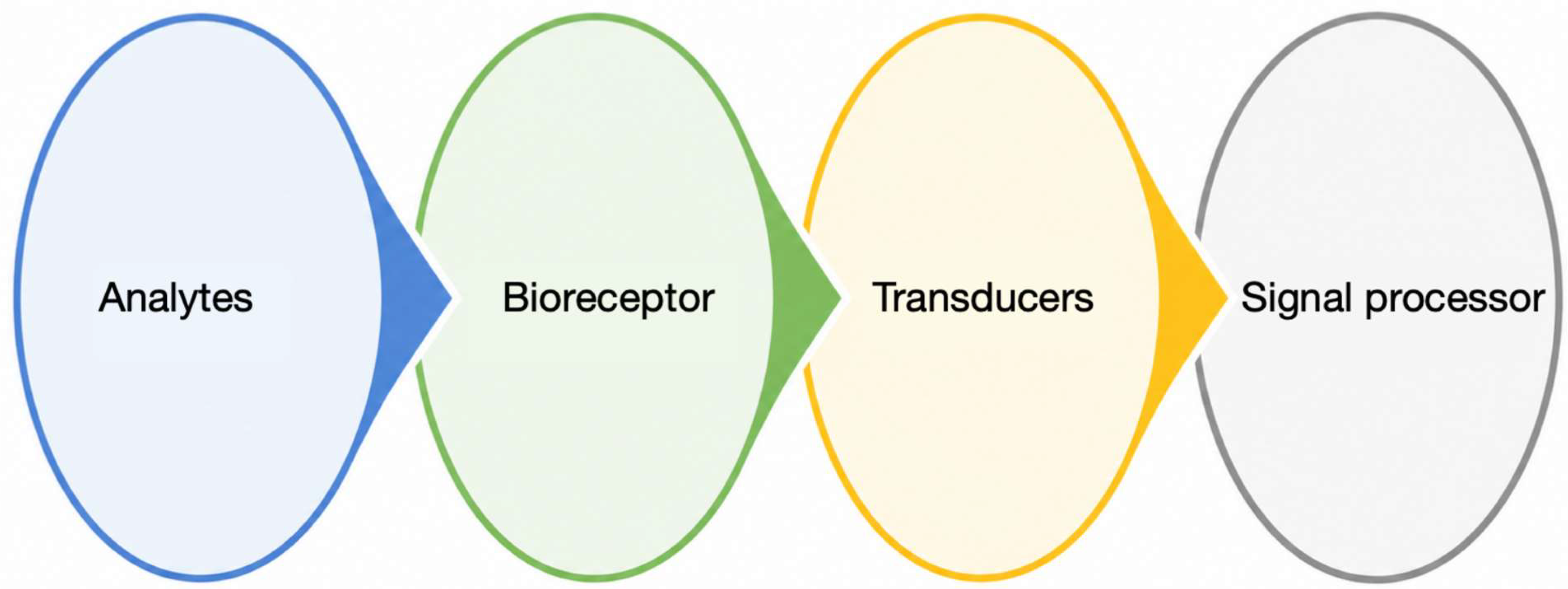 Preprints 218908 g001