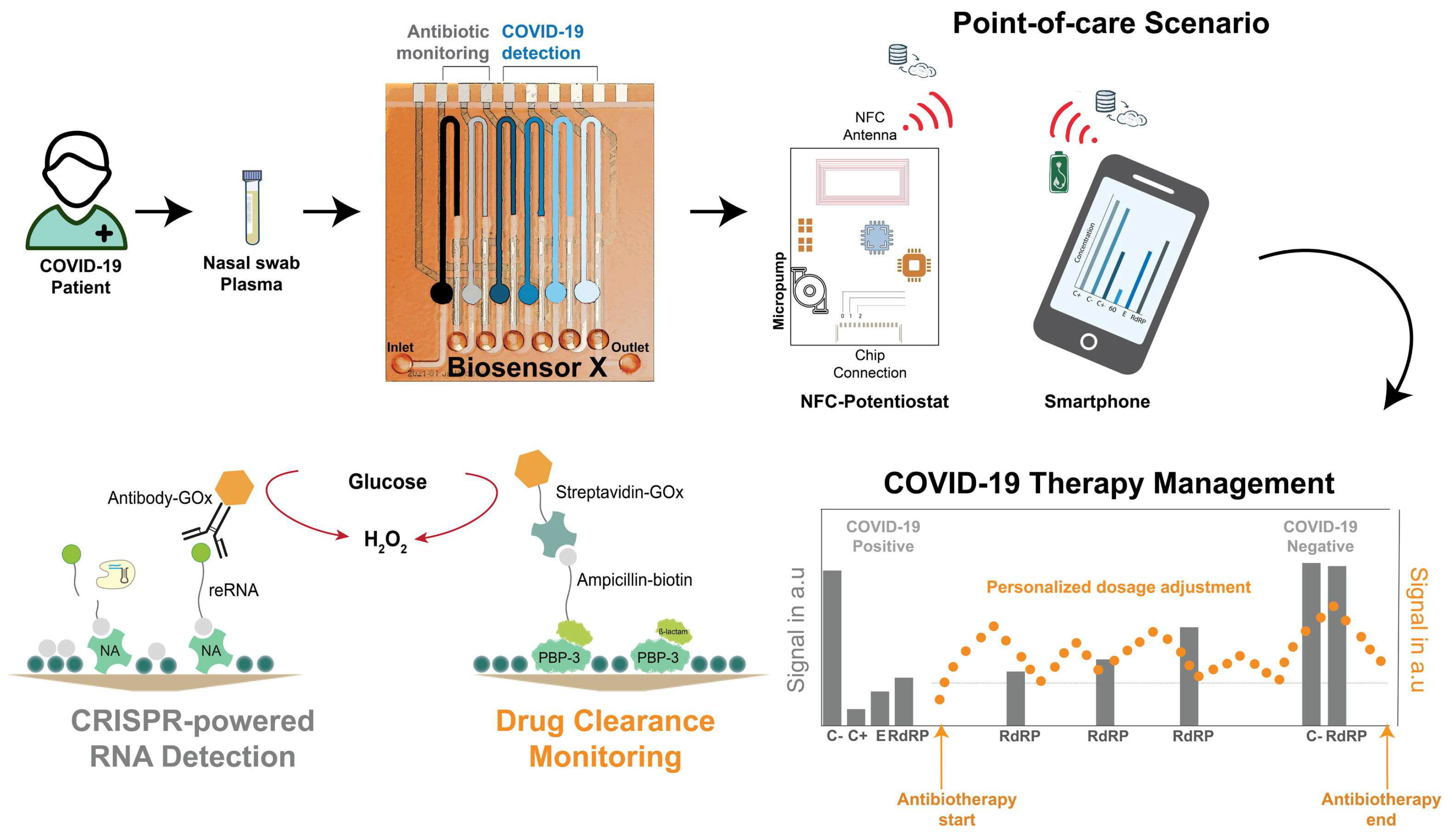 Preprints 218908 g006