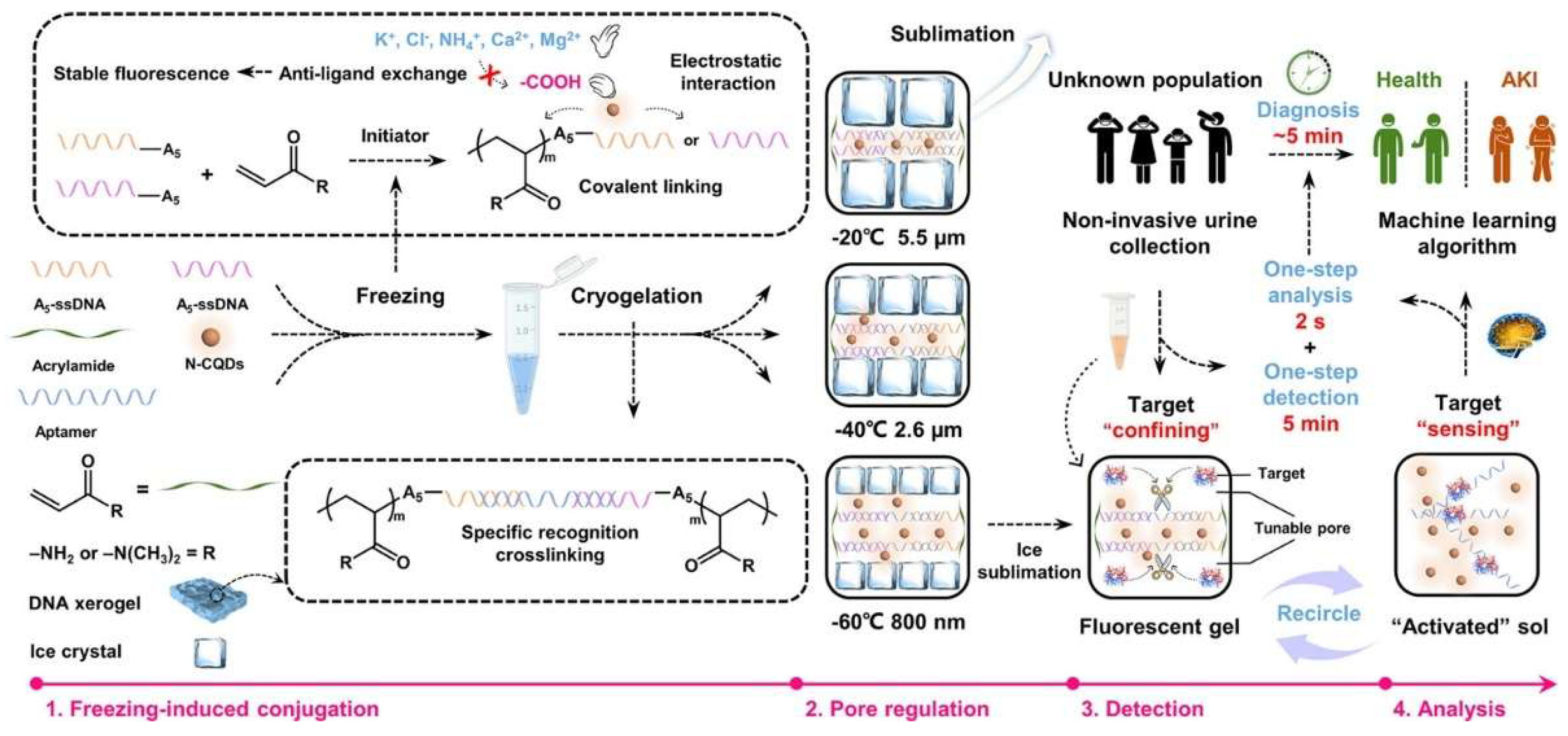 Preprints 218908 g011