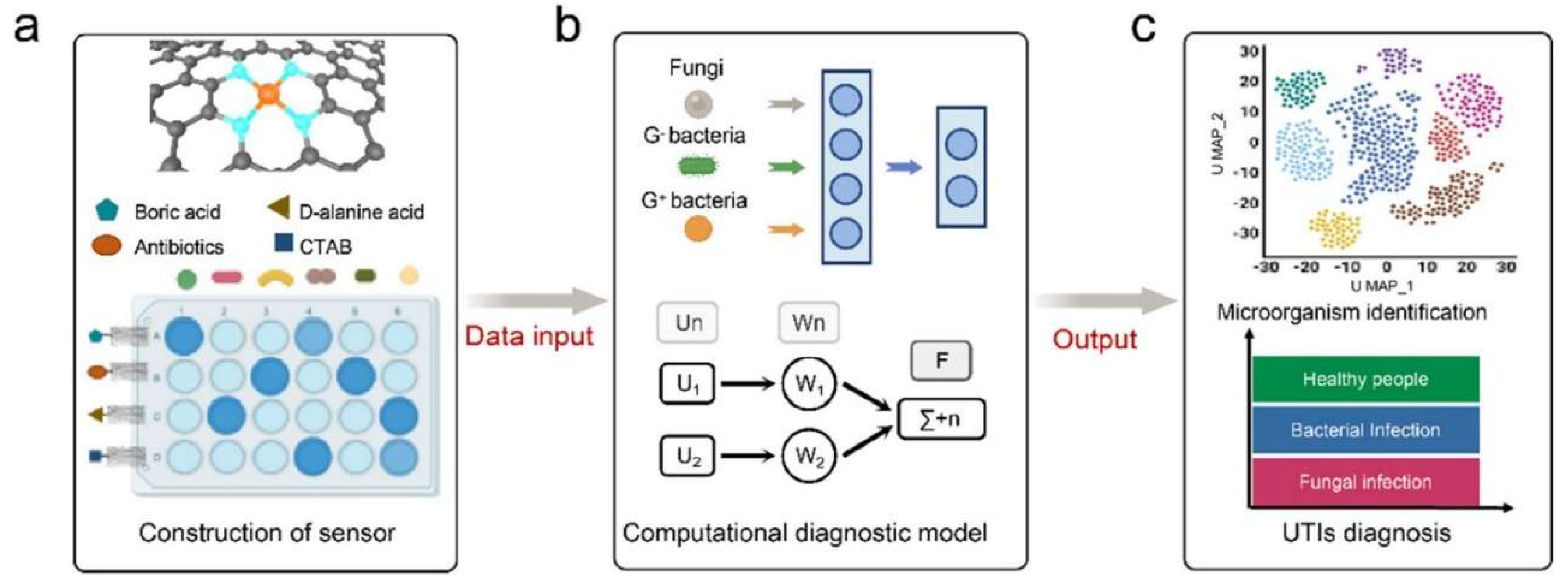 Preprints 218908 g013