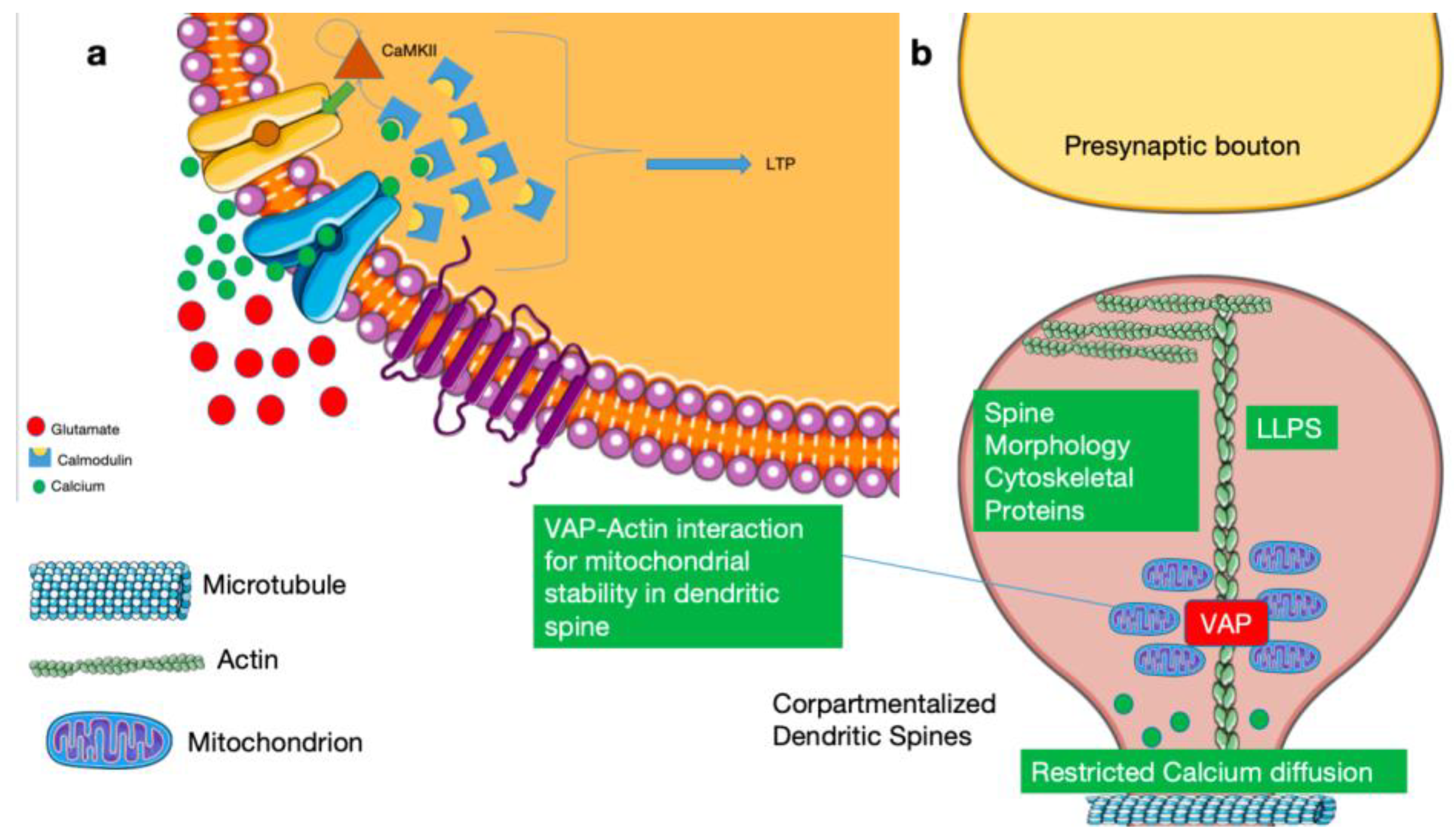 Preprints 192198 g001