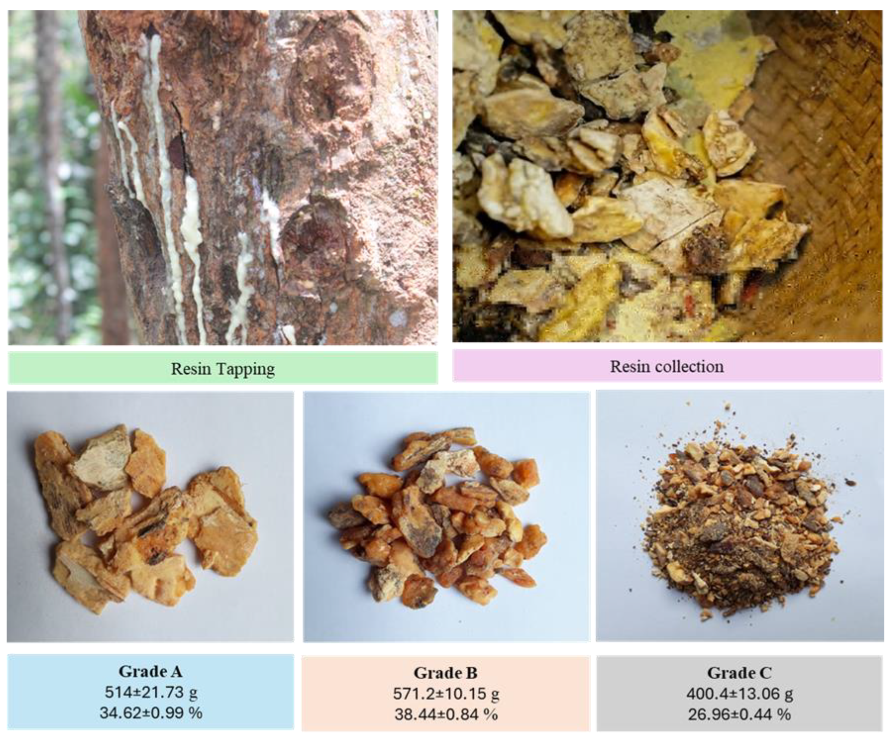 Preprints 175776 g001