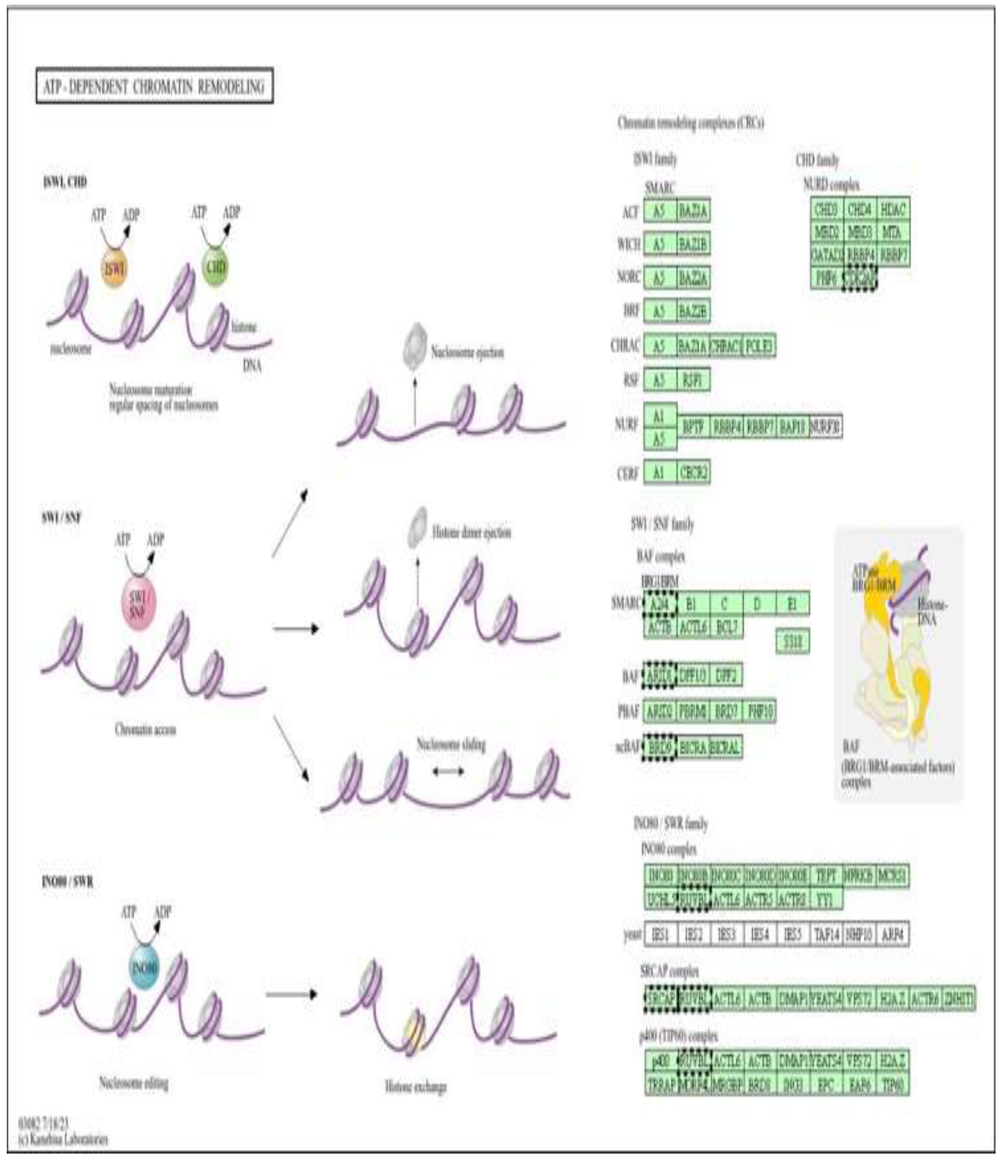 Preprints 198700 g014
