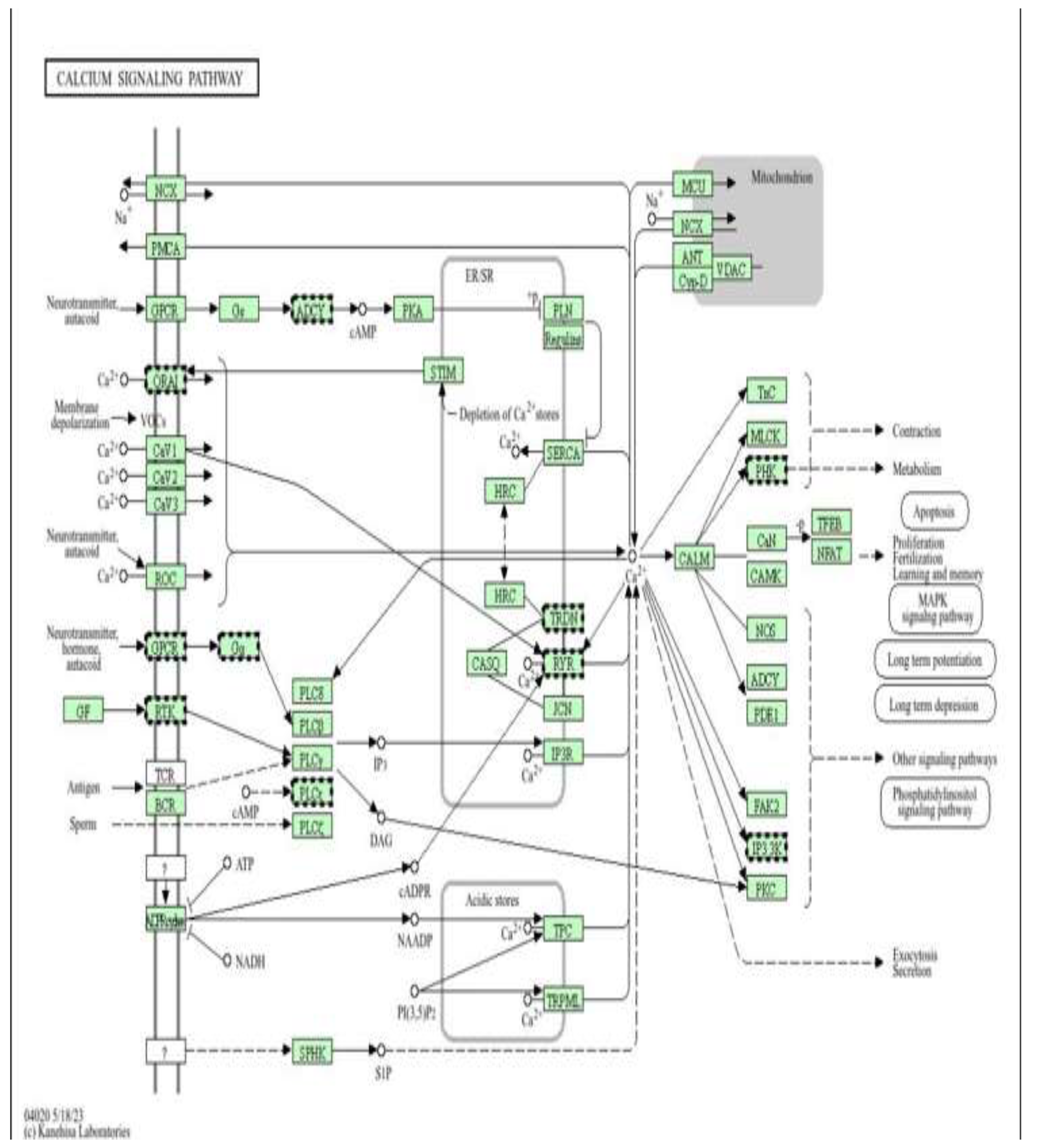 Preprints 198700 g015