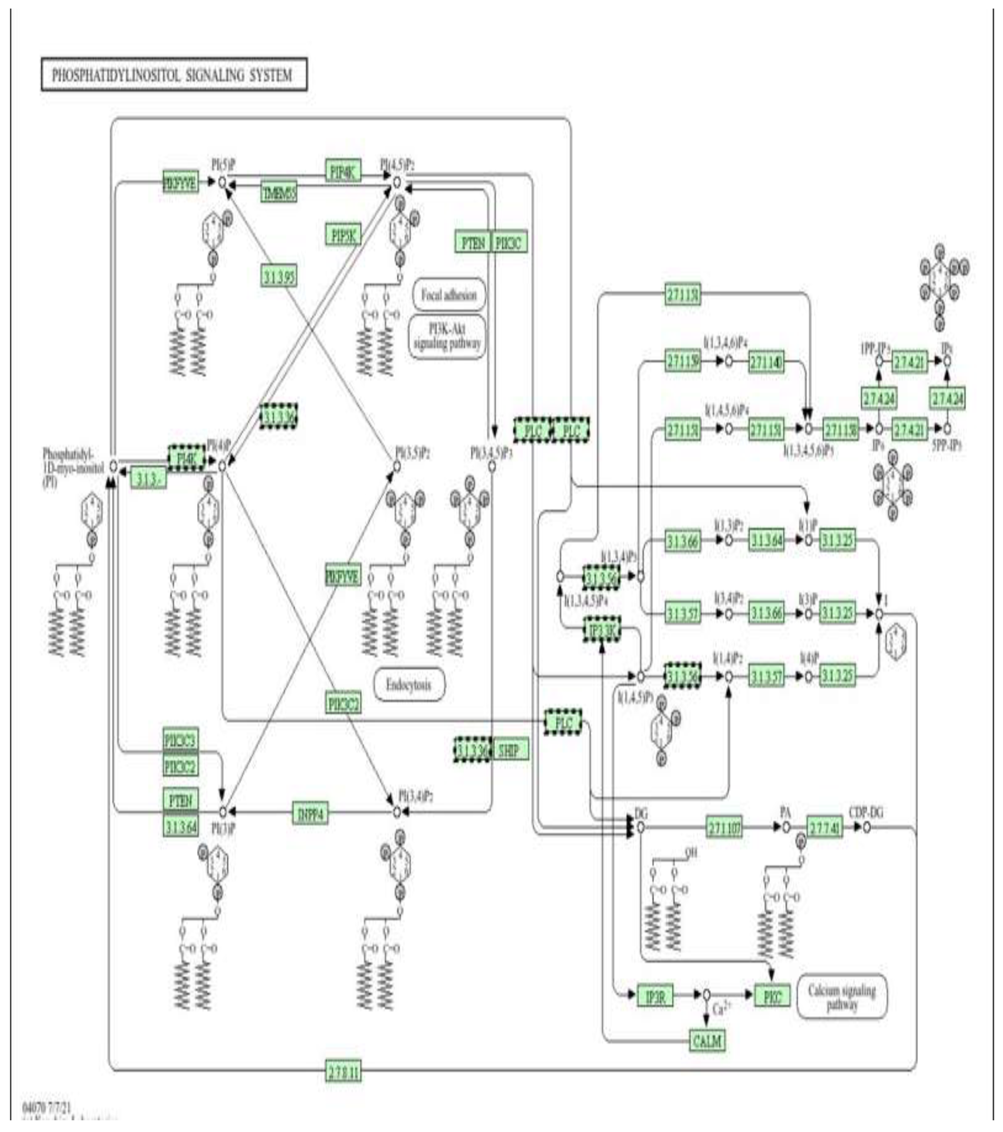 Preprints 198700 g016