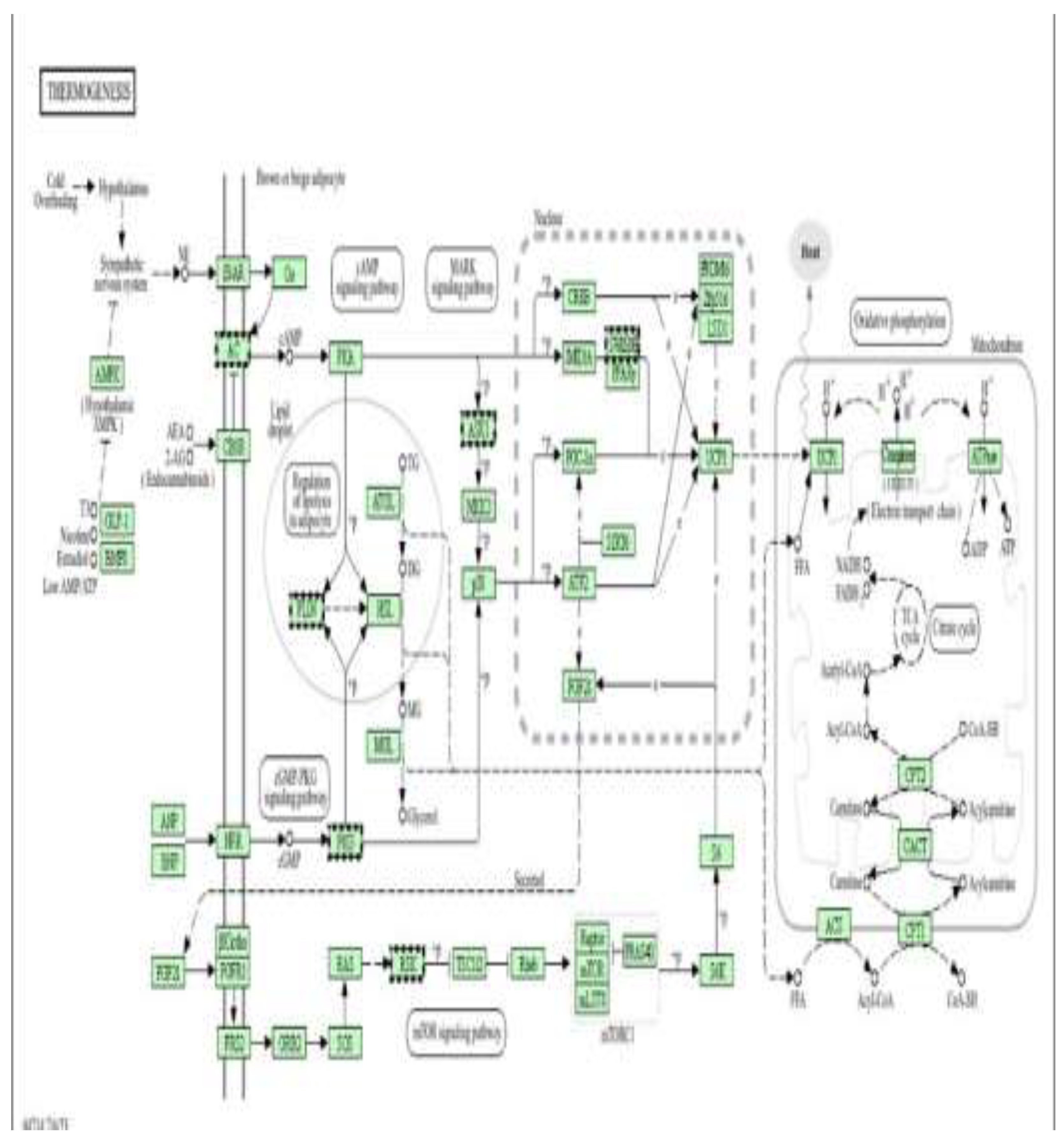 Preprints 198700 g017