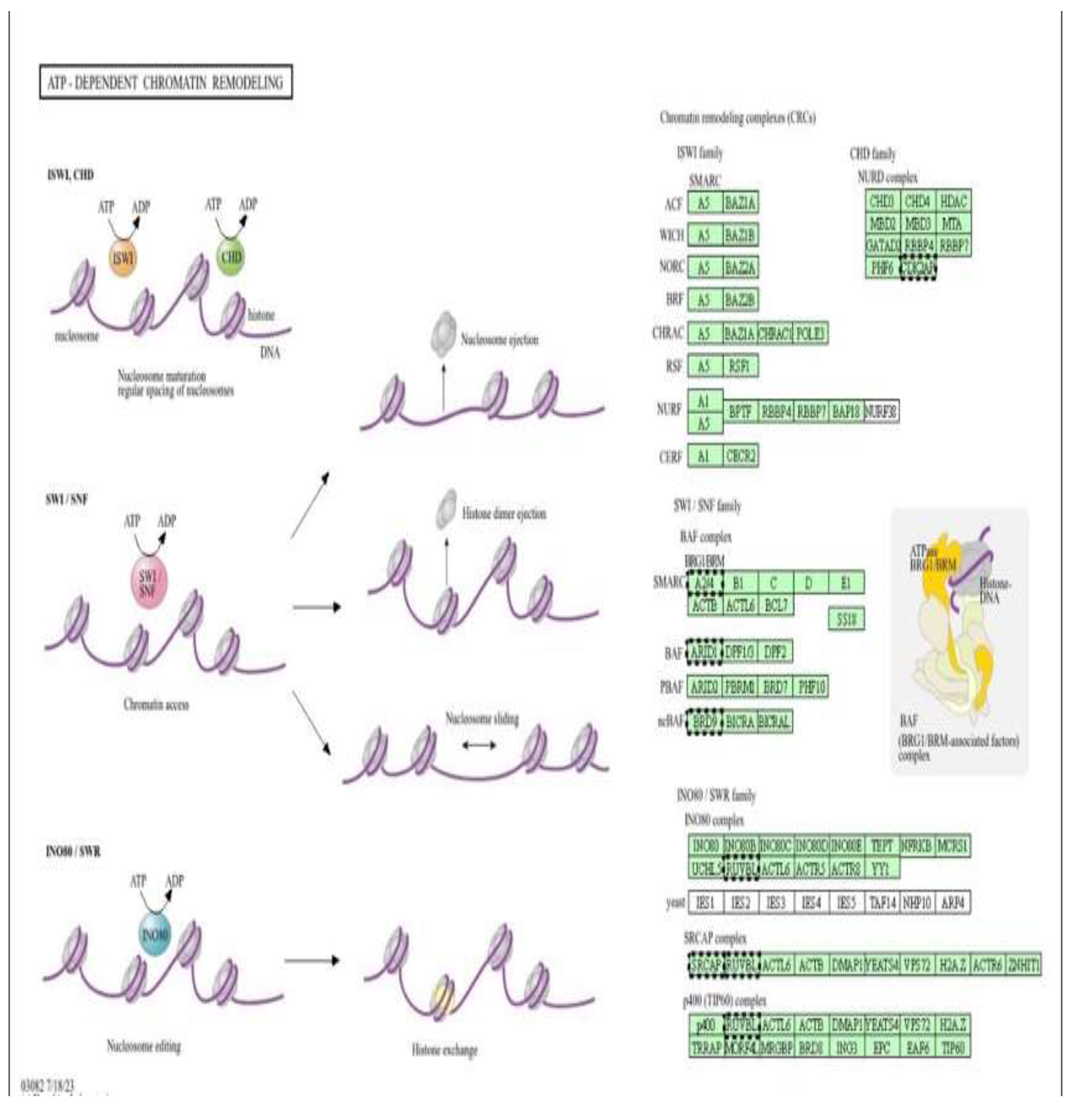 Preprints 198700 g018