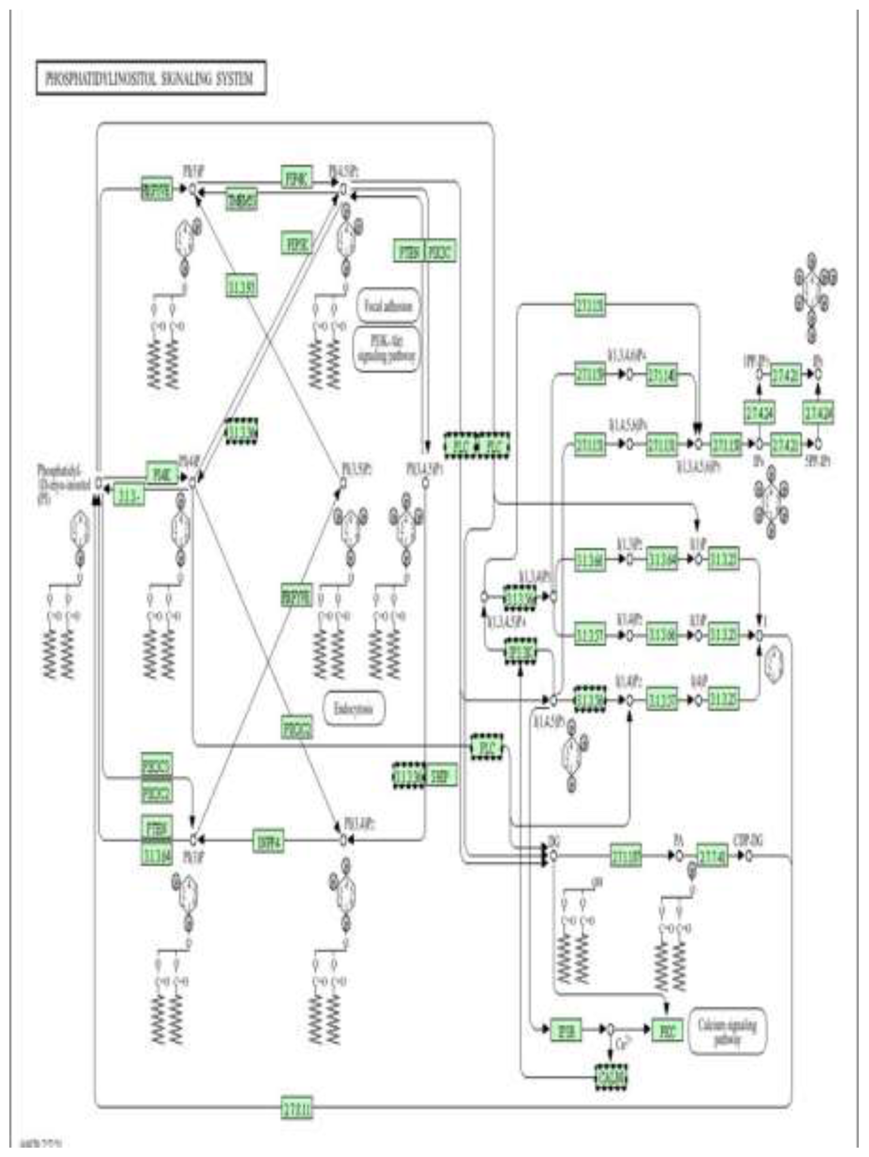 Preprints 198700 g019