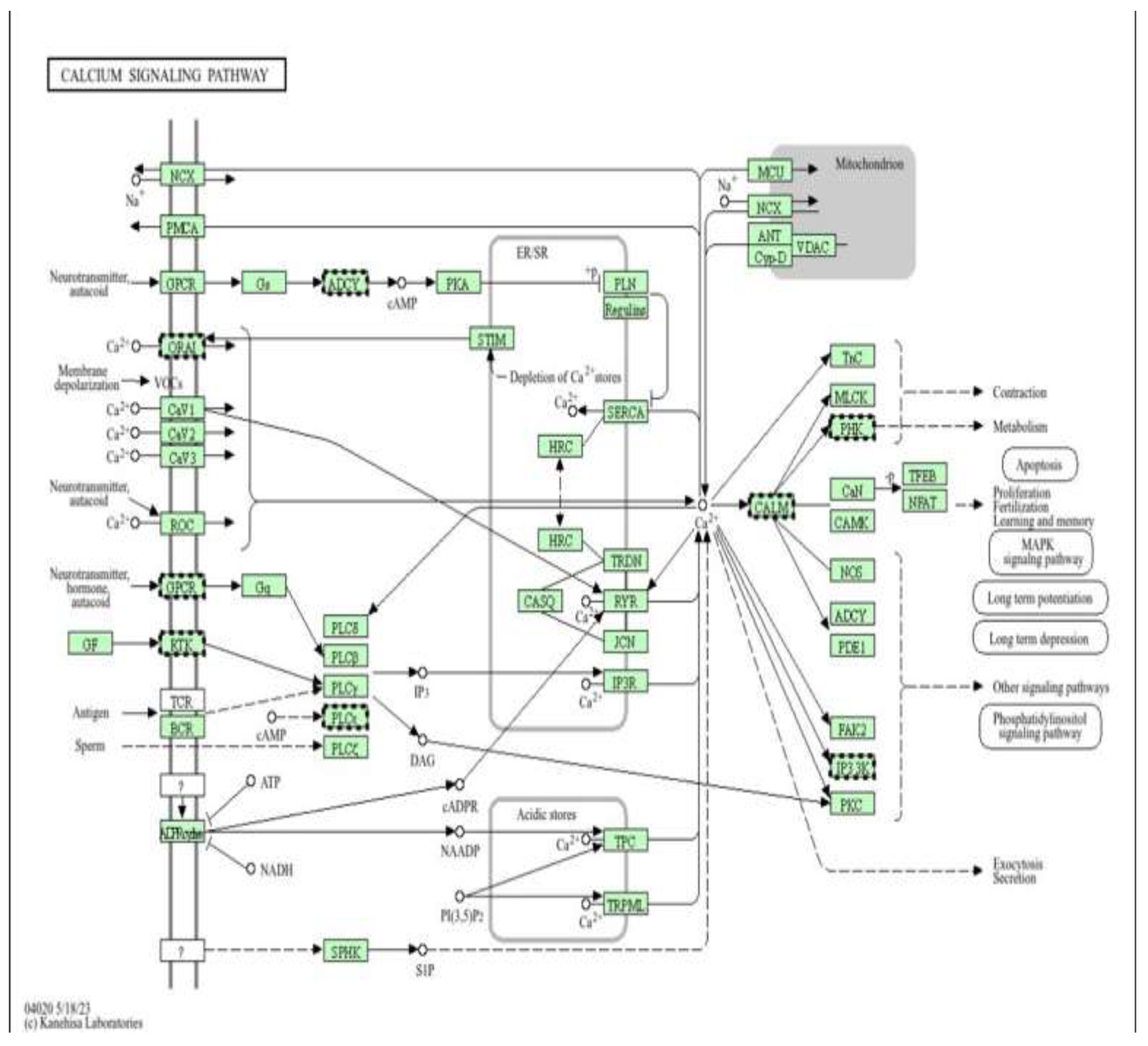 Preprints 198700 g020