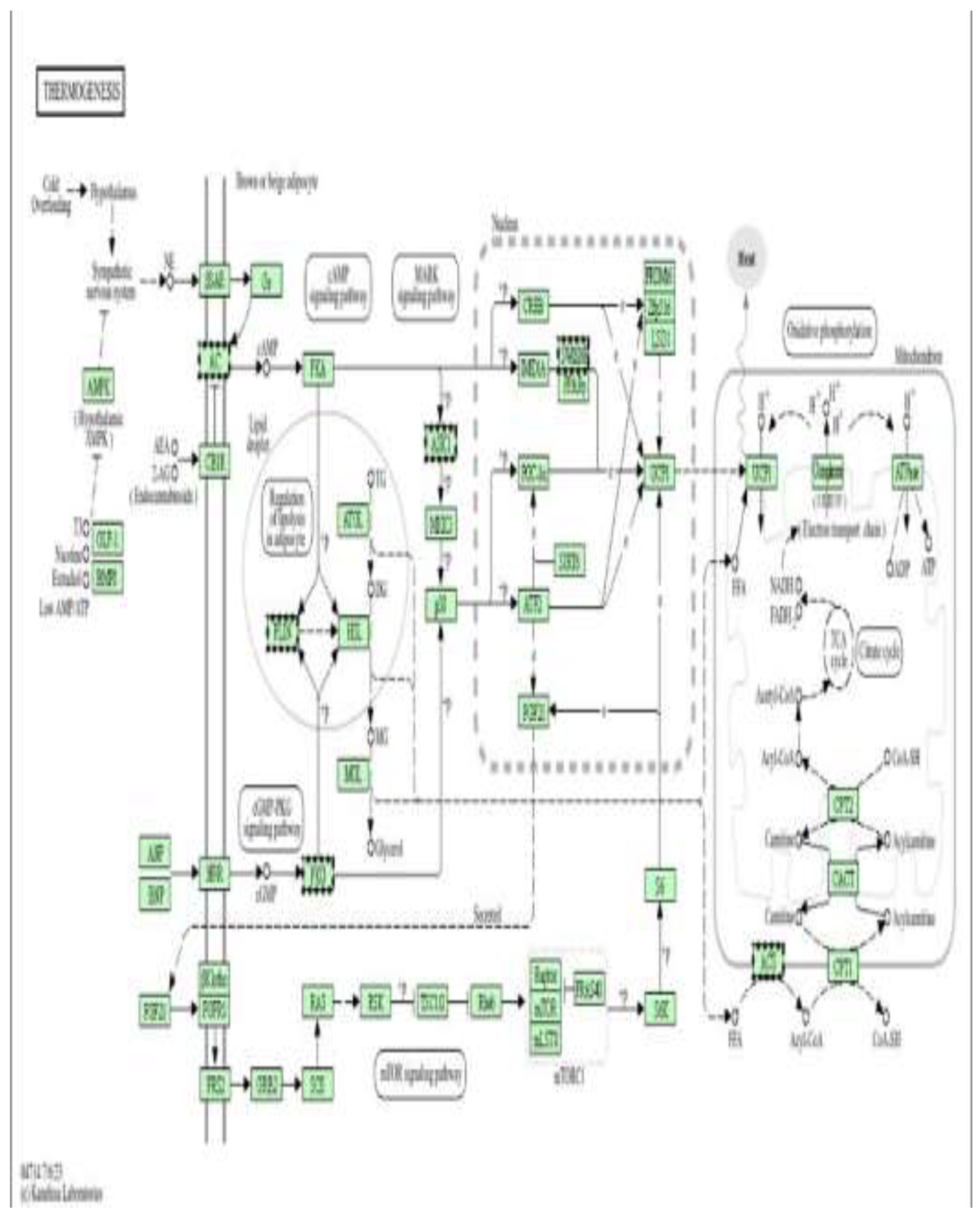 Preprints 198700 g021