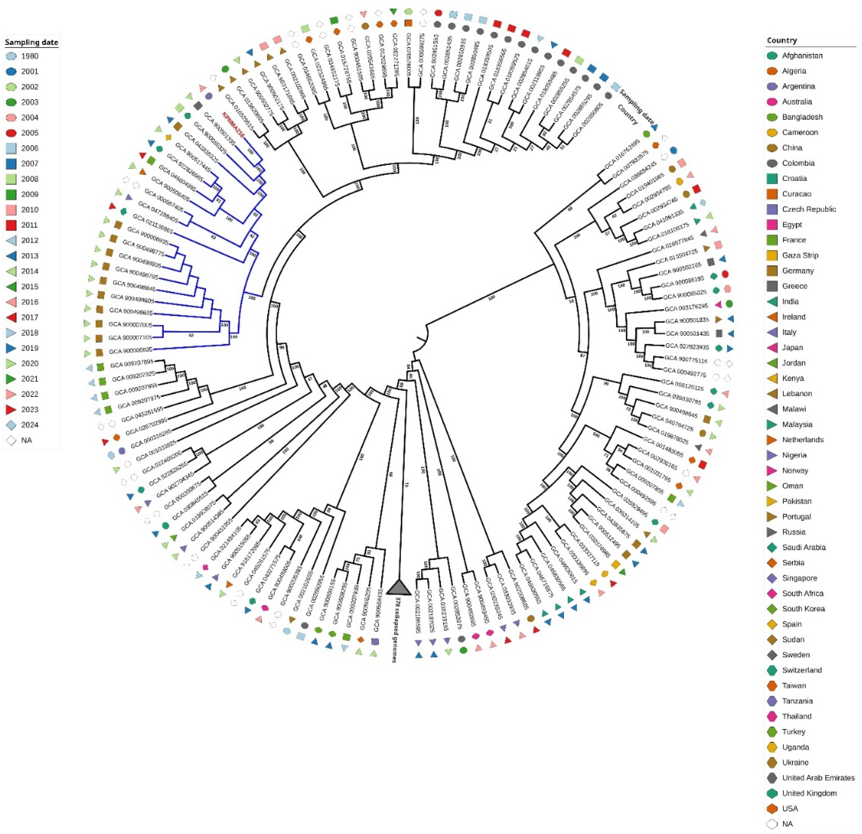 Preprints 167413 g001