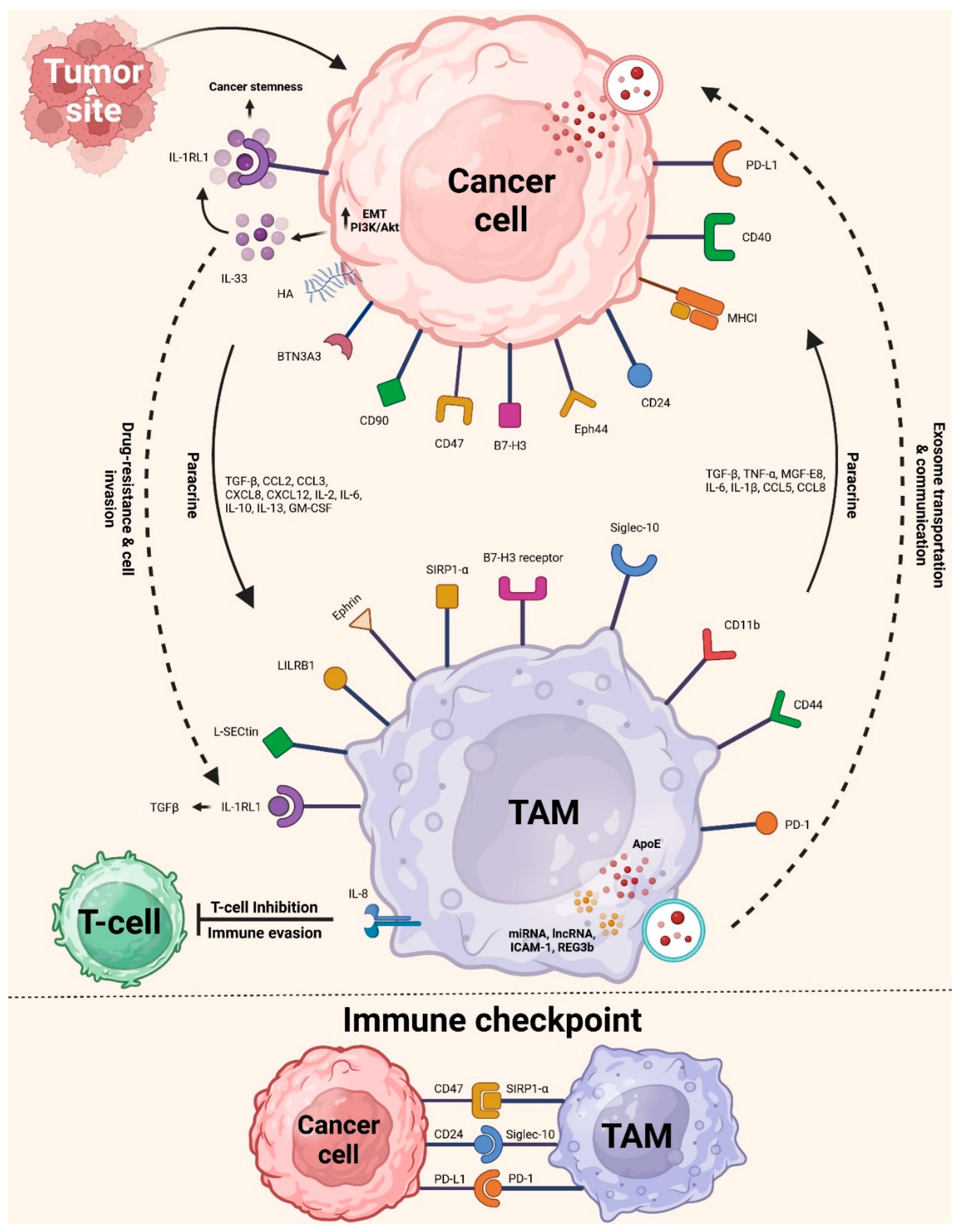 Preprints 154522 g002