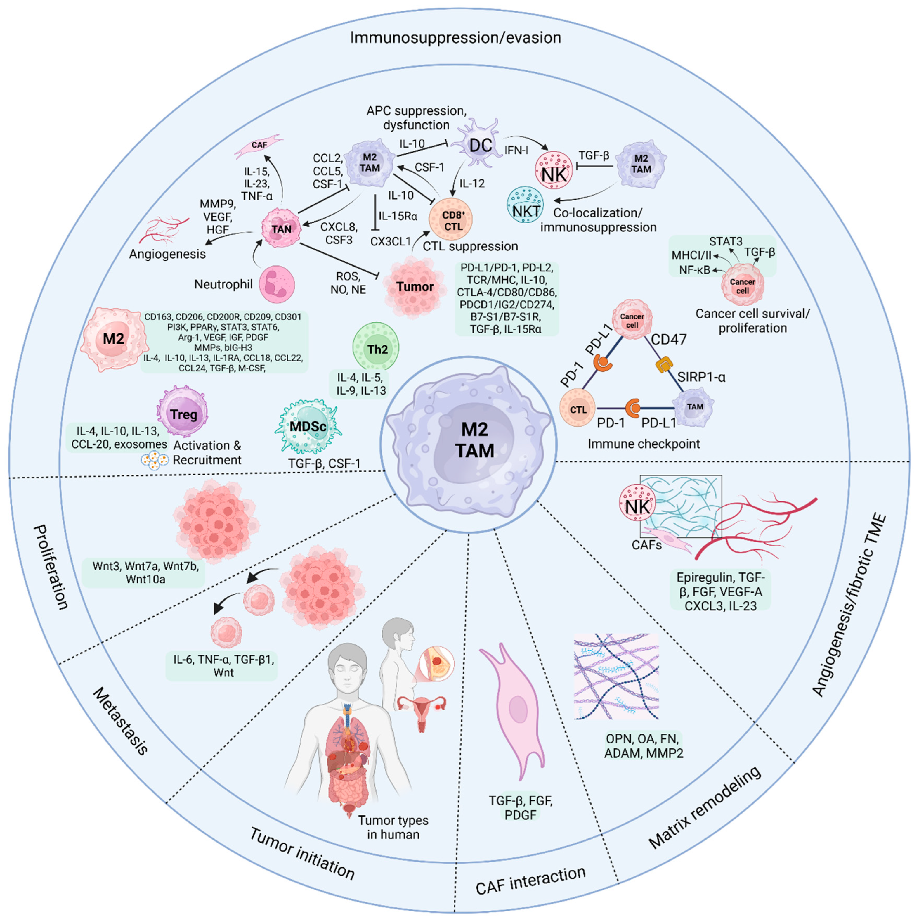 Preprints 154522 g003