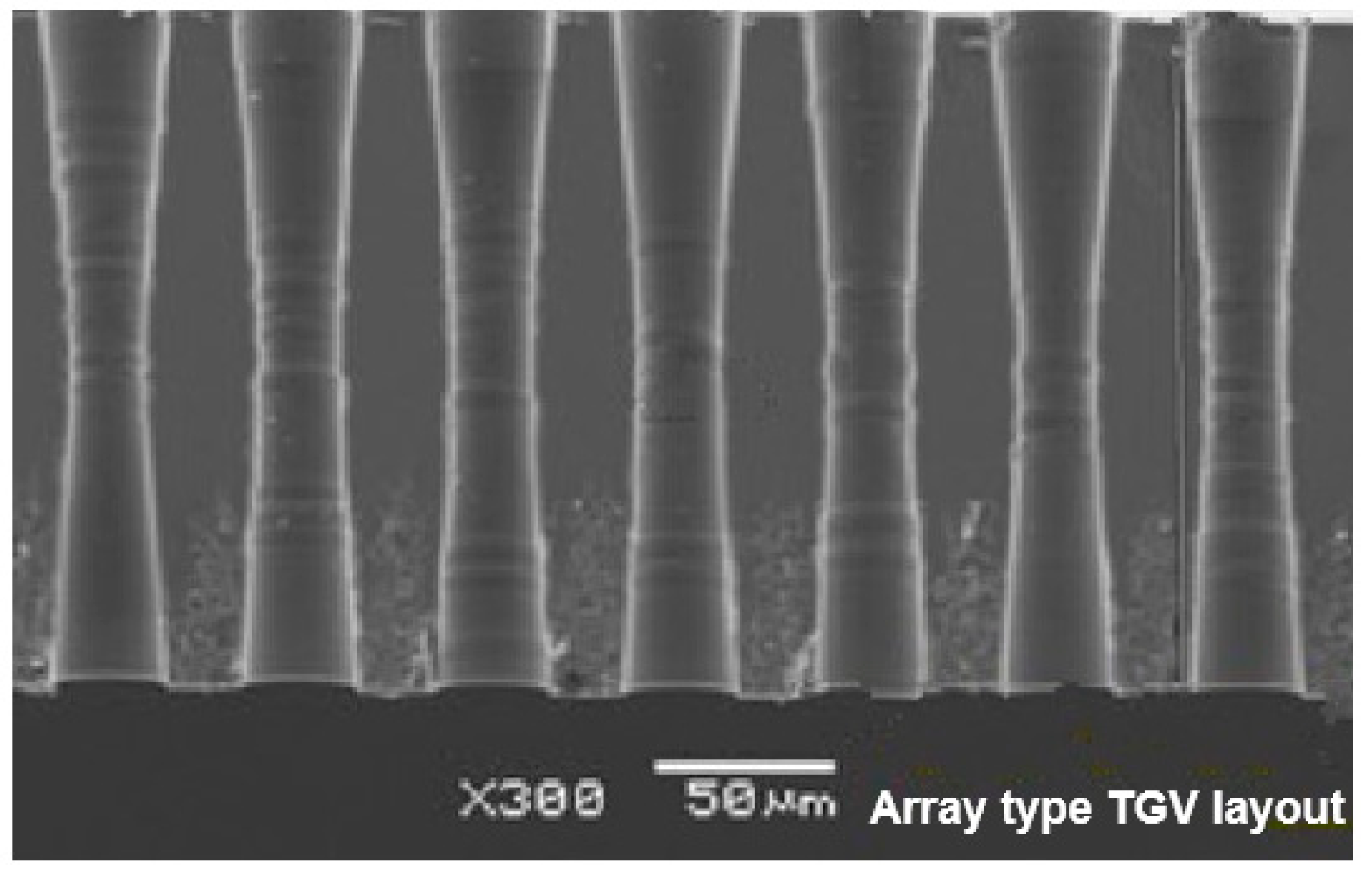 Preprints 75493 g001