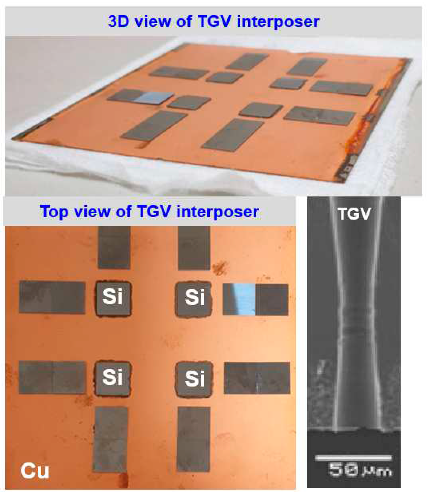 Preprints 75493 g002
