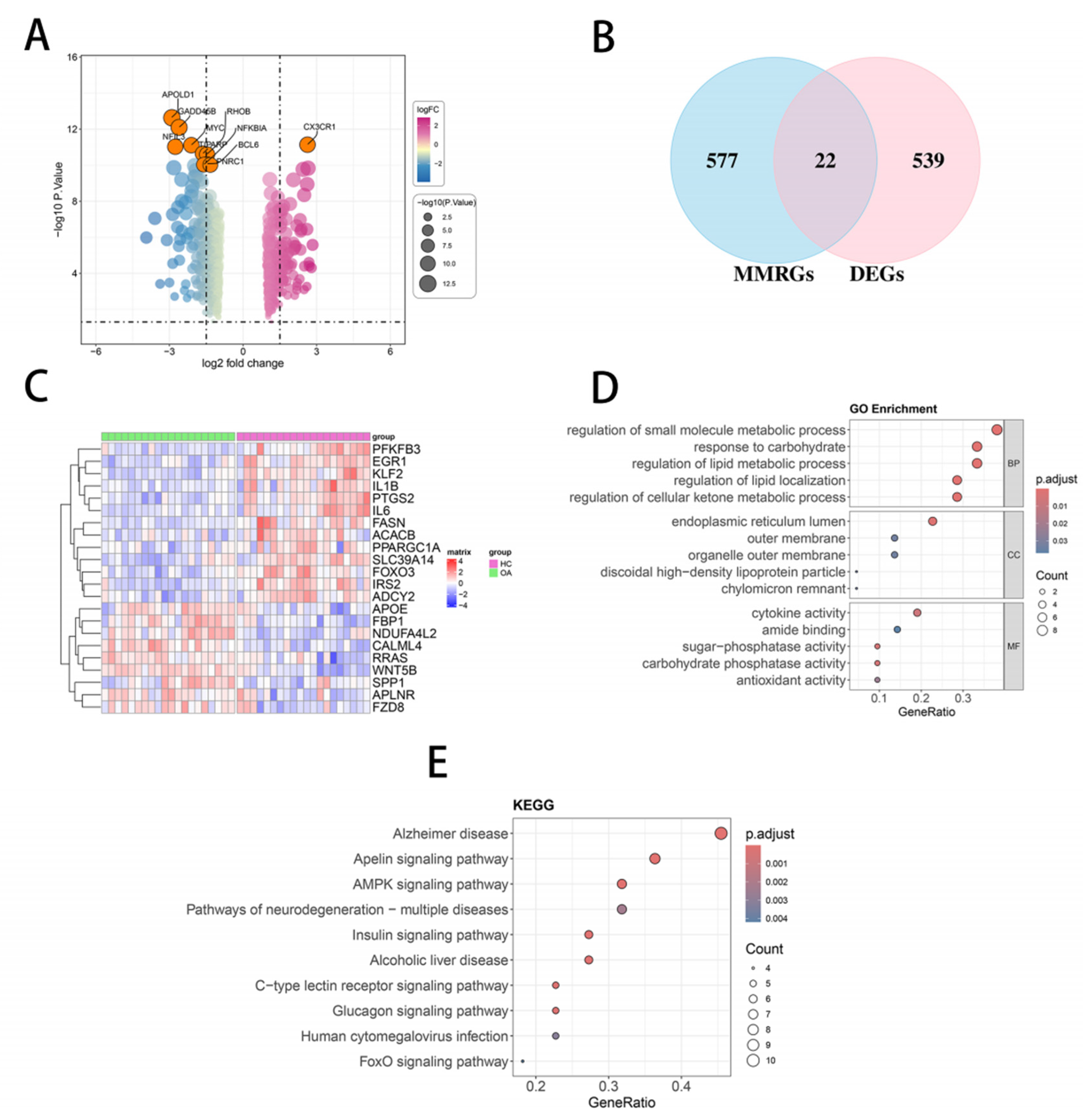 Preprints 208998 g001