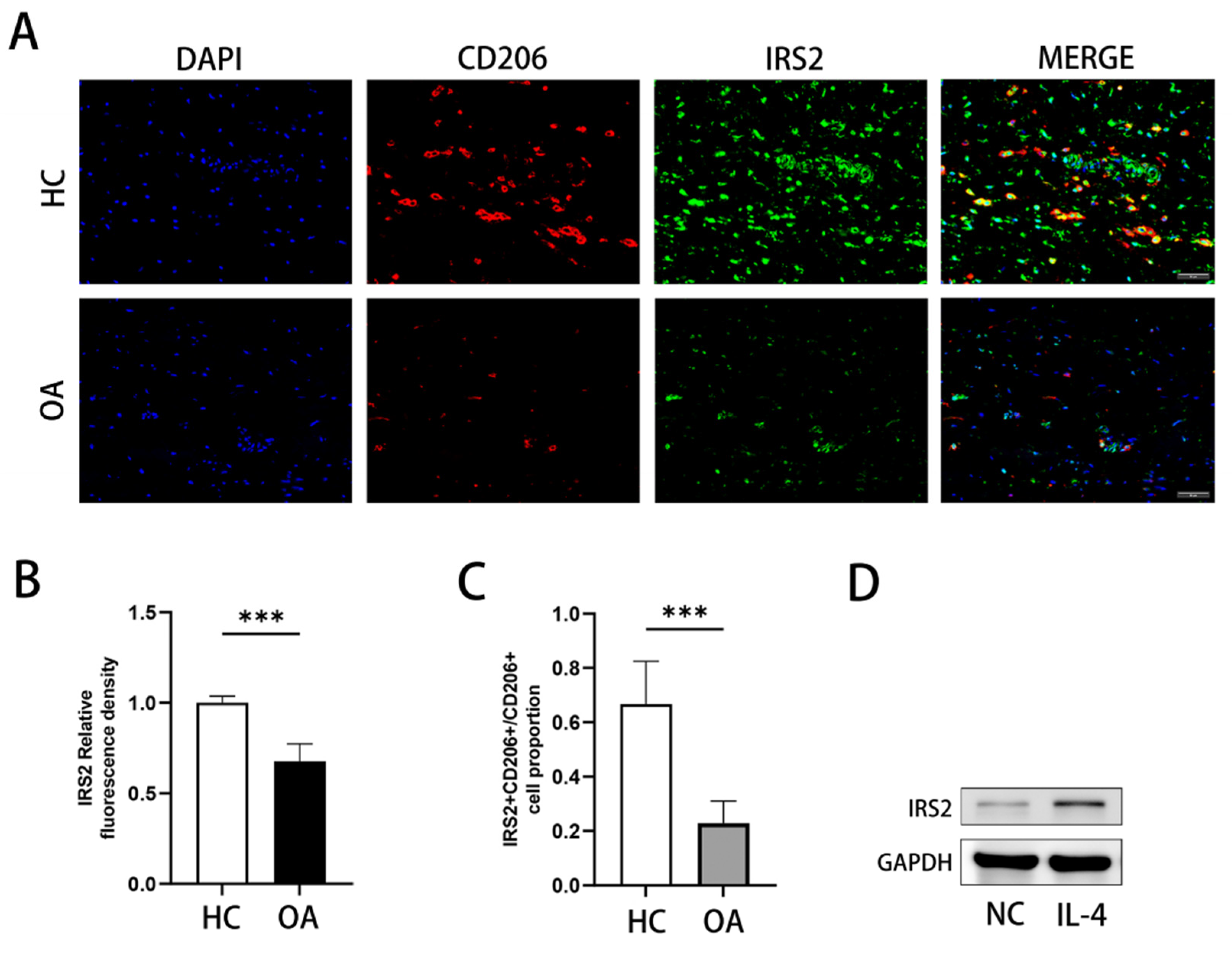 Preprints 208998 g006