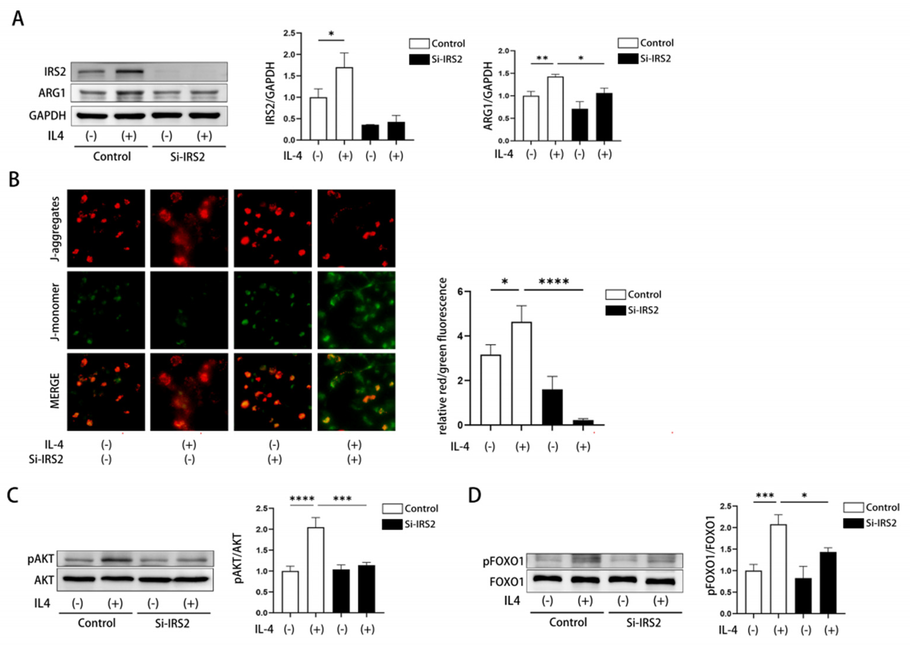 Preprints 208998 g007