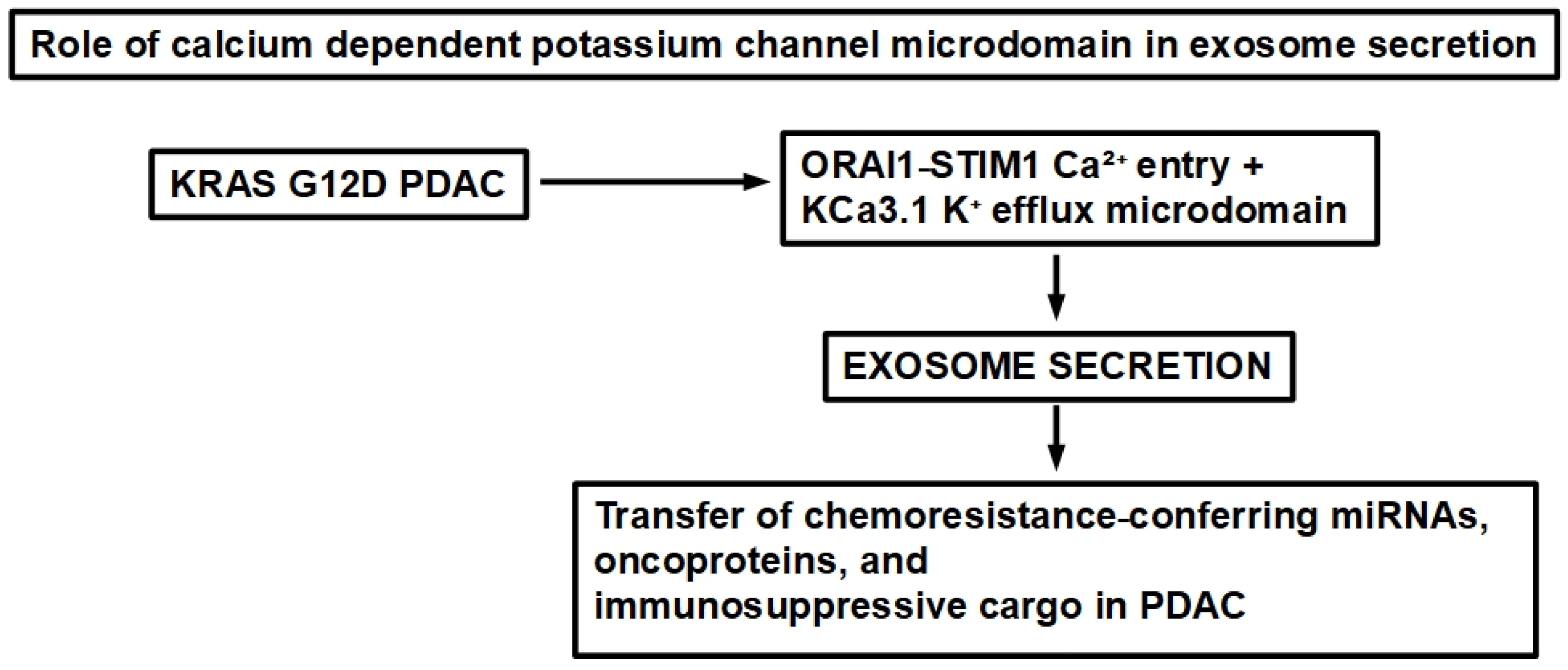 Altered Potassium Channels in Pancreatic Ductal Adenocarcinoma