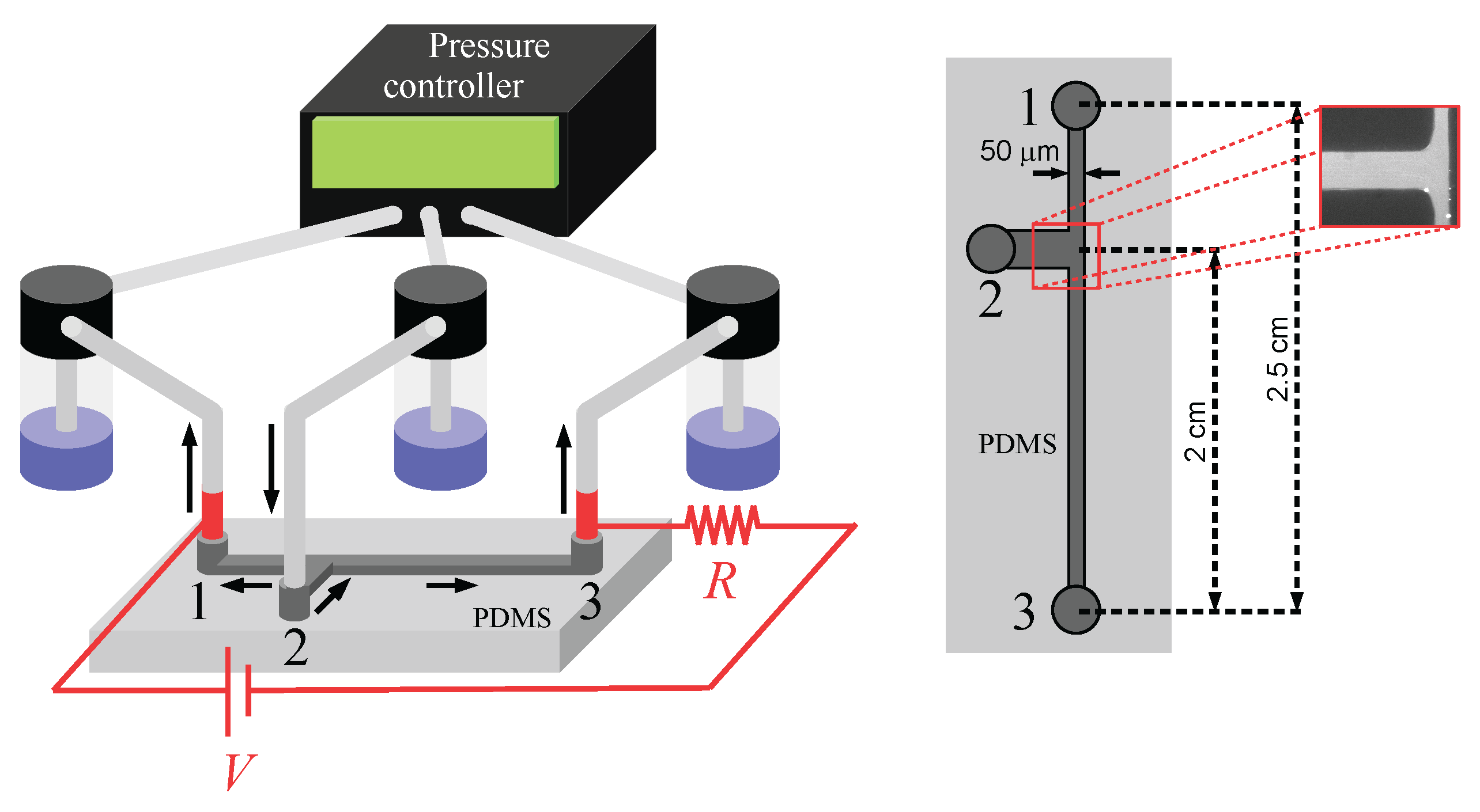 Preprints 194015 g001