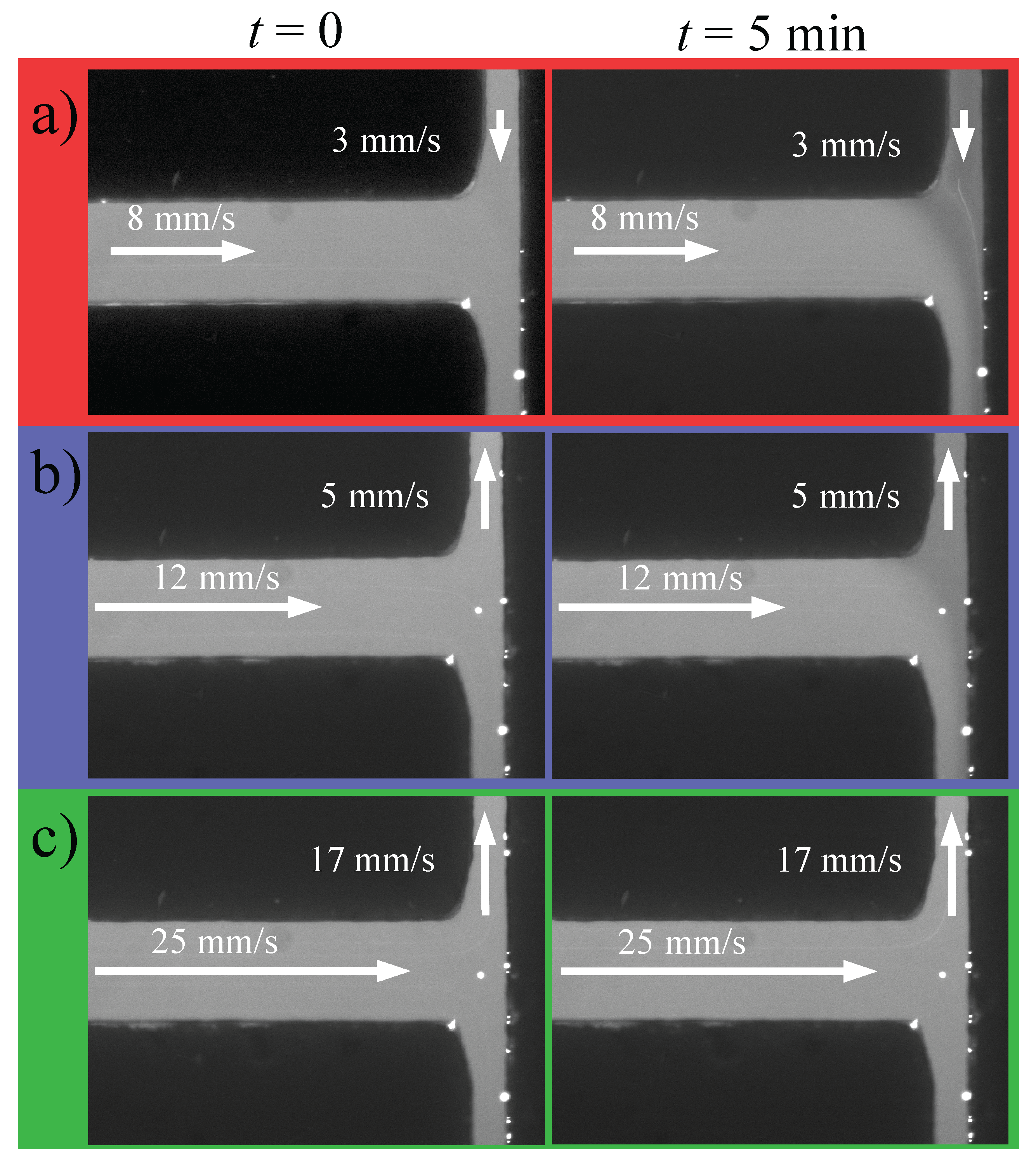 Preprints 194015 g002