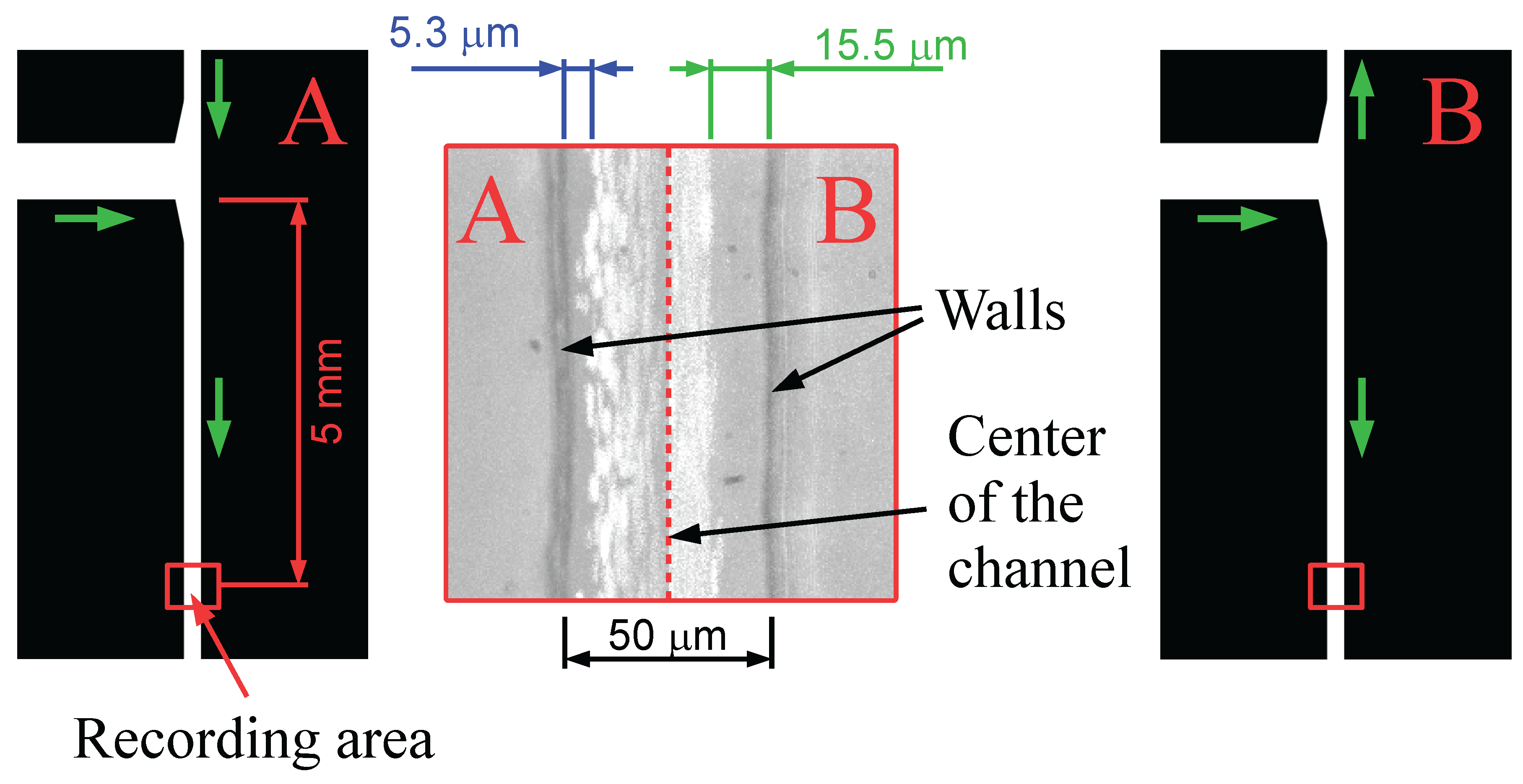 Preprints 194015 g004