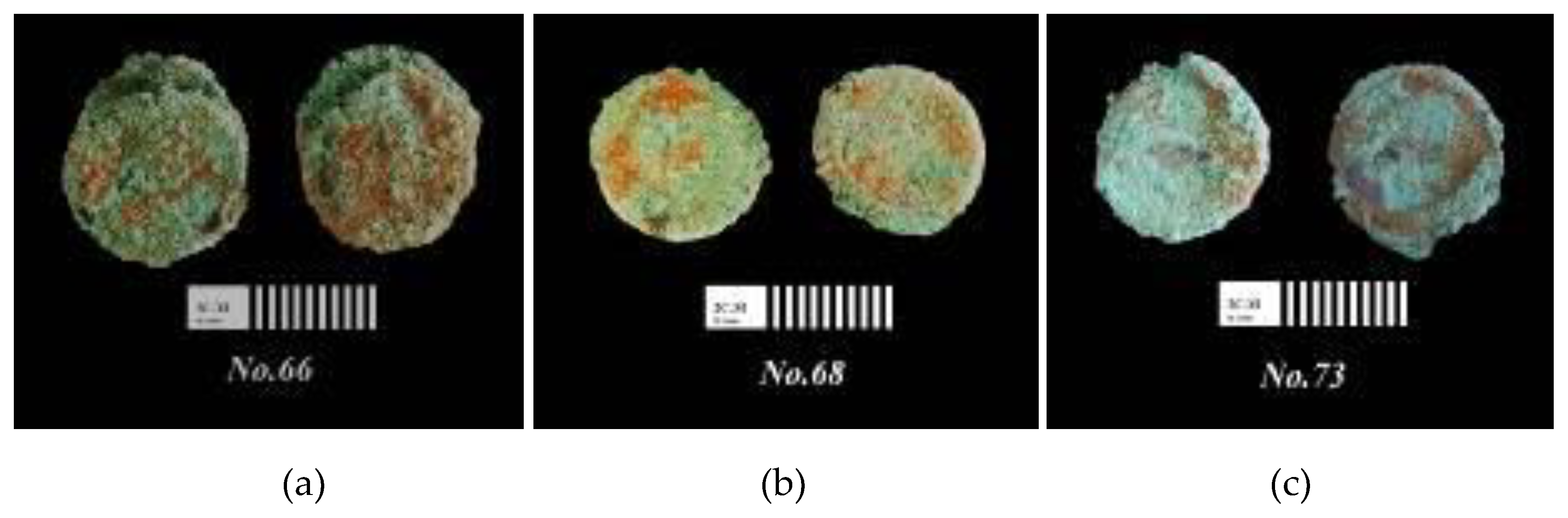 Preprints 69218 g003