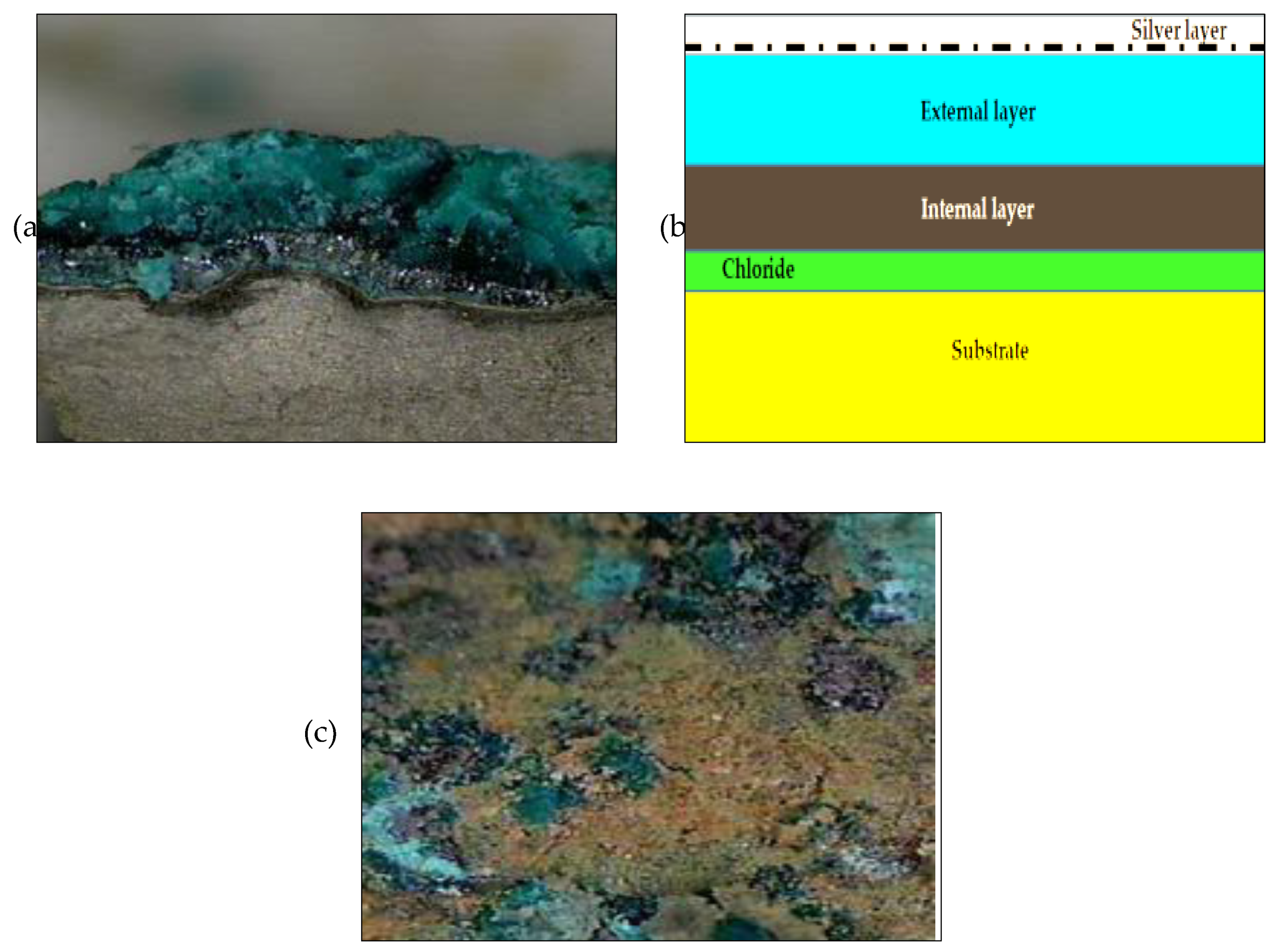 Preprints 69218 g004
