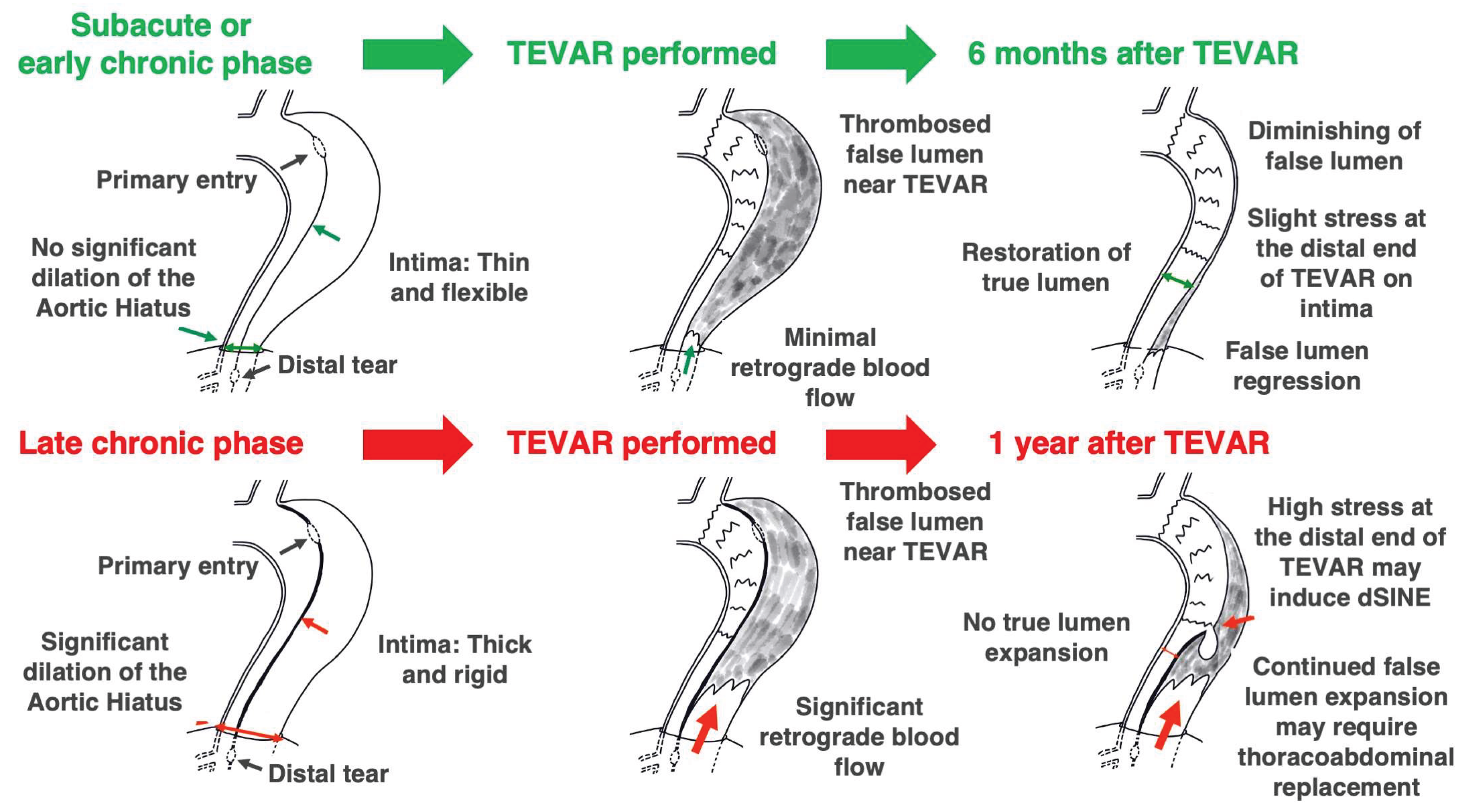 Preprints 160317 g004