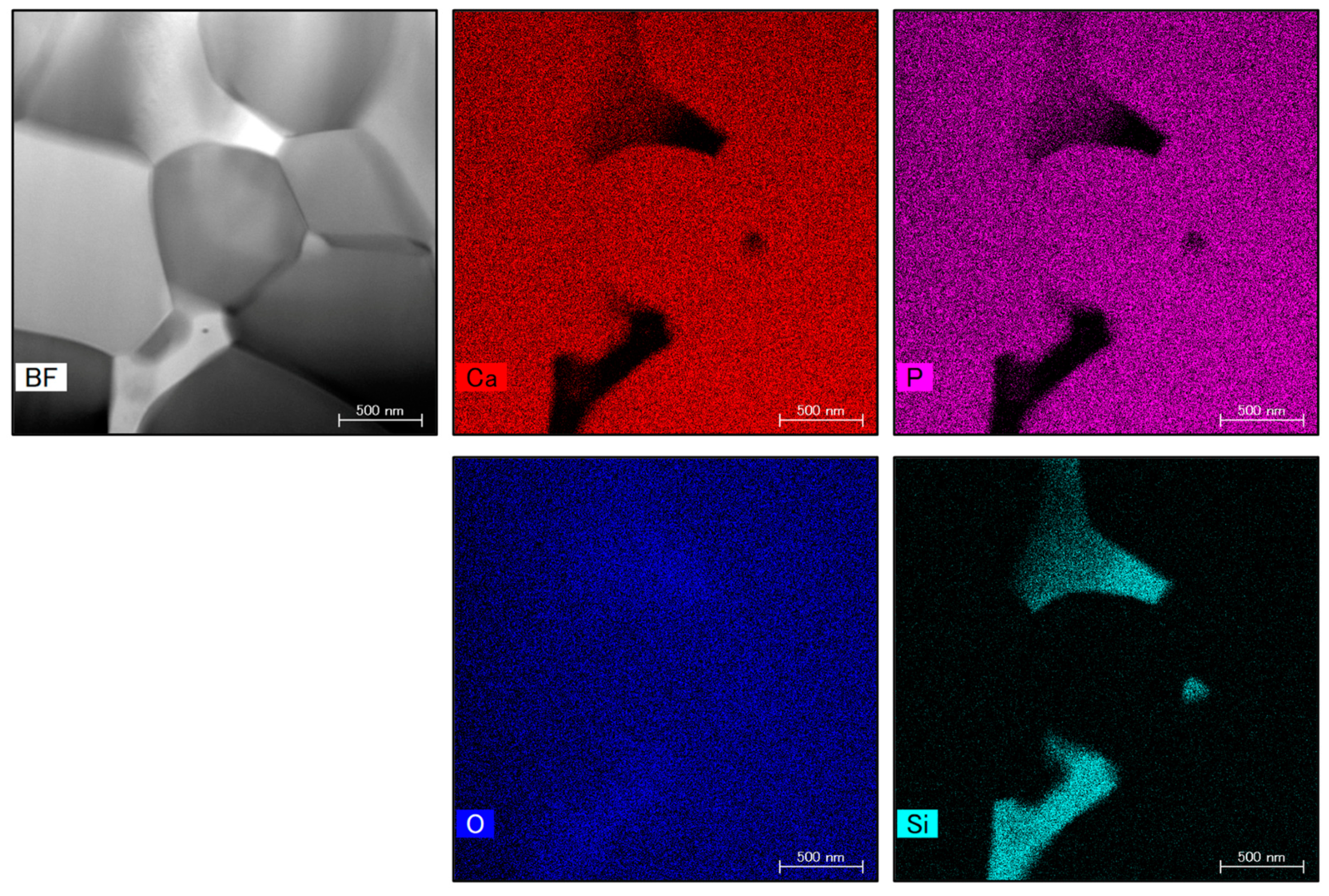 Preprints 91031 g010